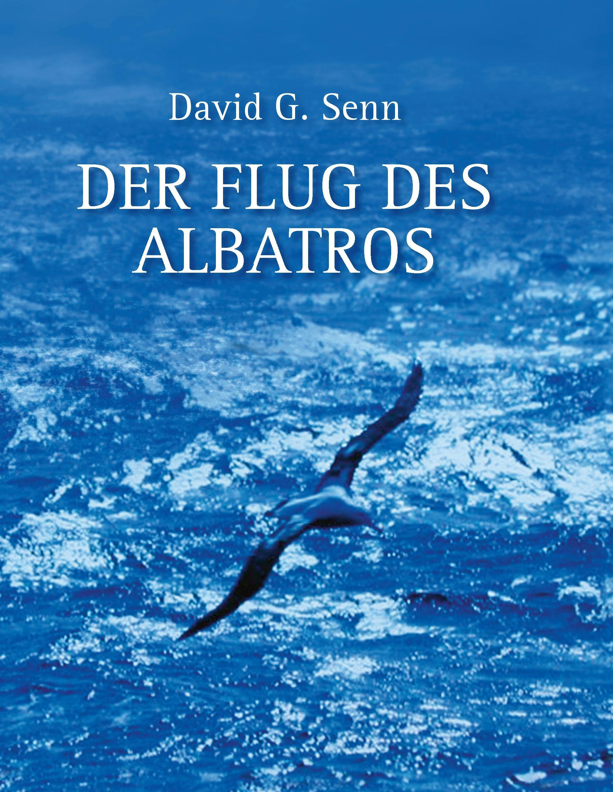 Vorderes Coverbild Der Flug des Albatros