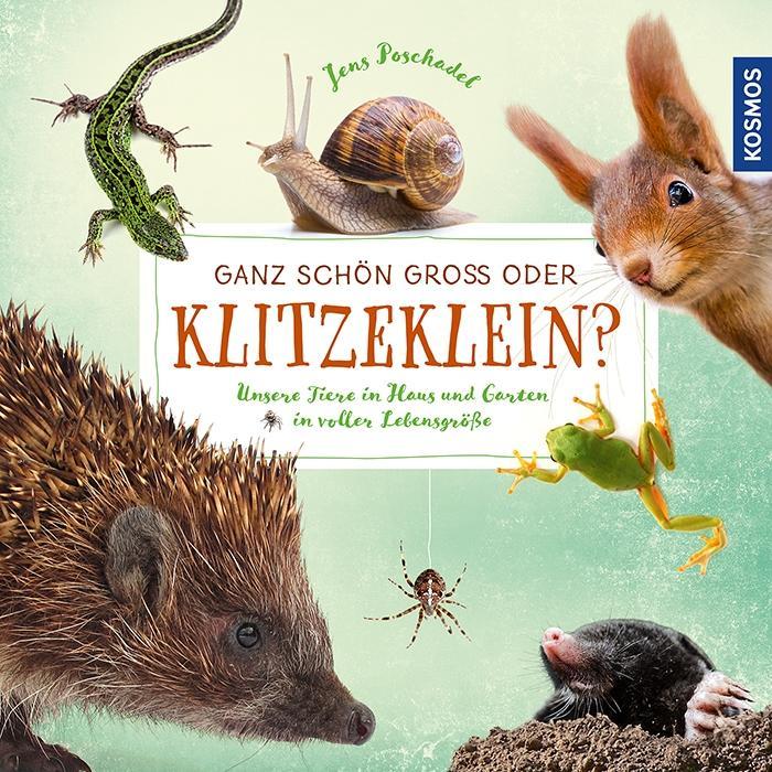 Vorderes Coverbild Ganz schön groß oder klitzeklein?