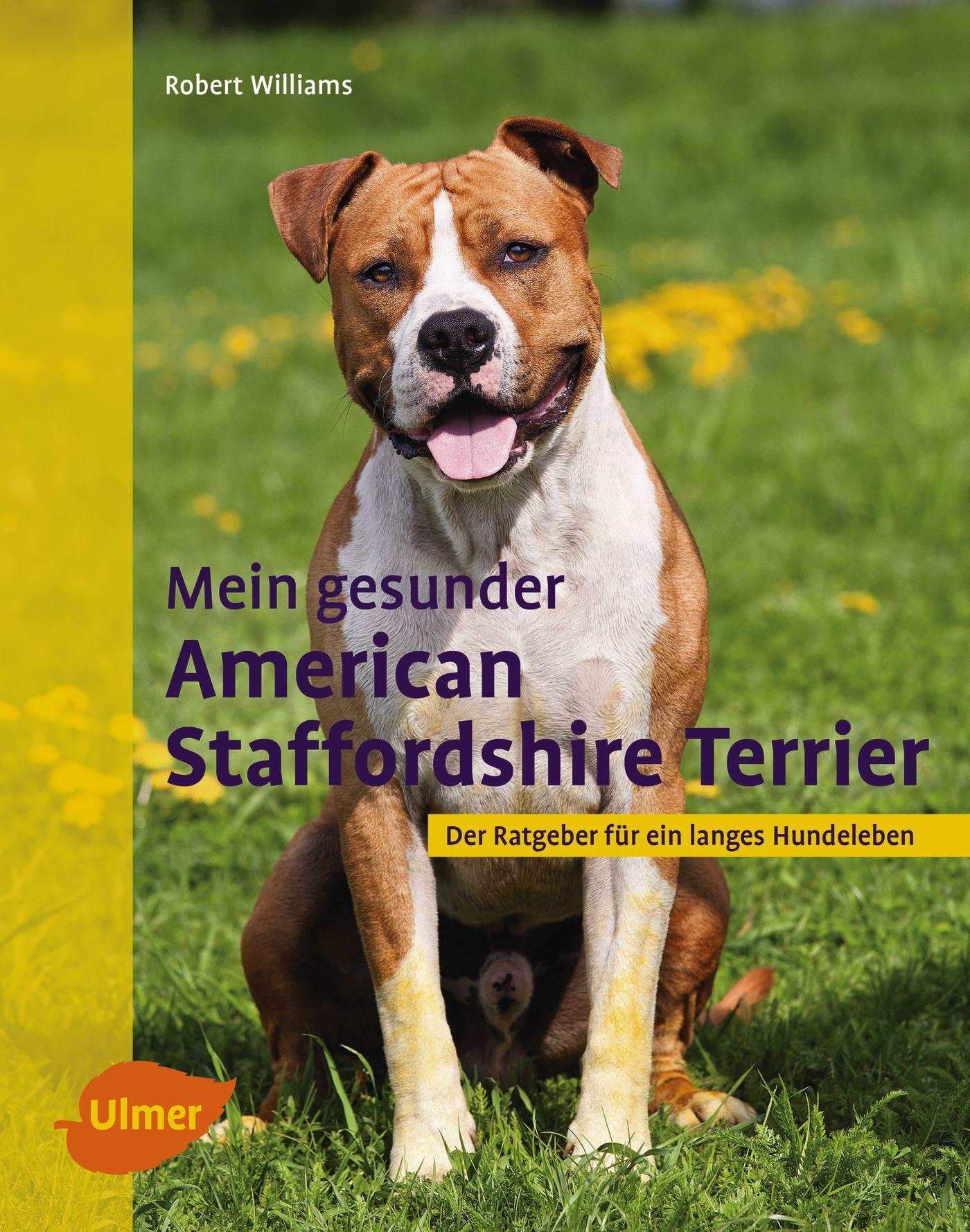 Vorderes Coverbild Mein gesunder American Staffordshire Terrier