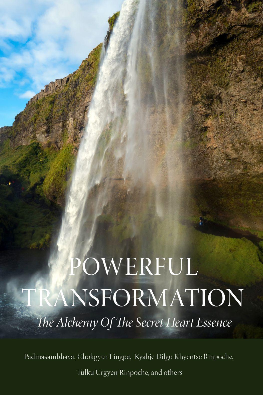 Vorderes Coverbild Powerful Transformation