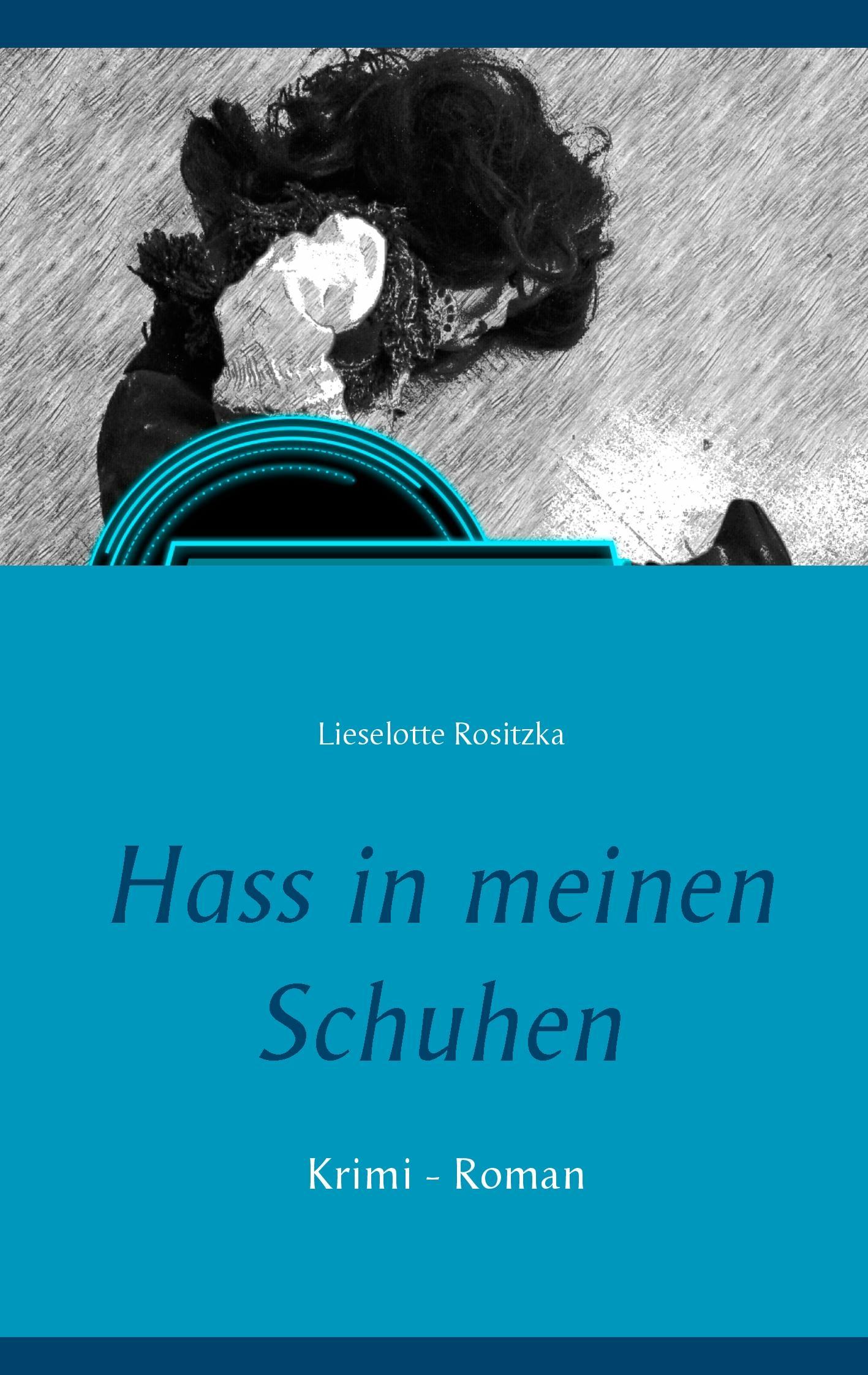 Vorderes Coverbild Hass in meinen Schuhen