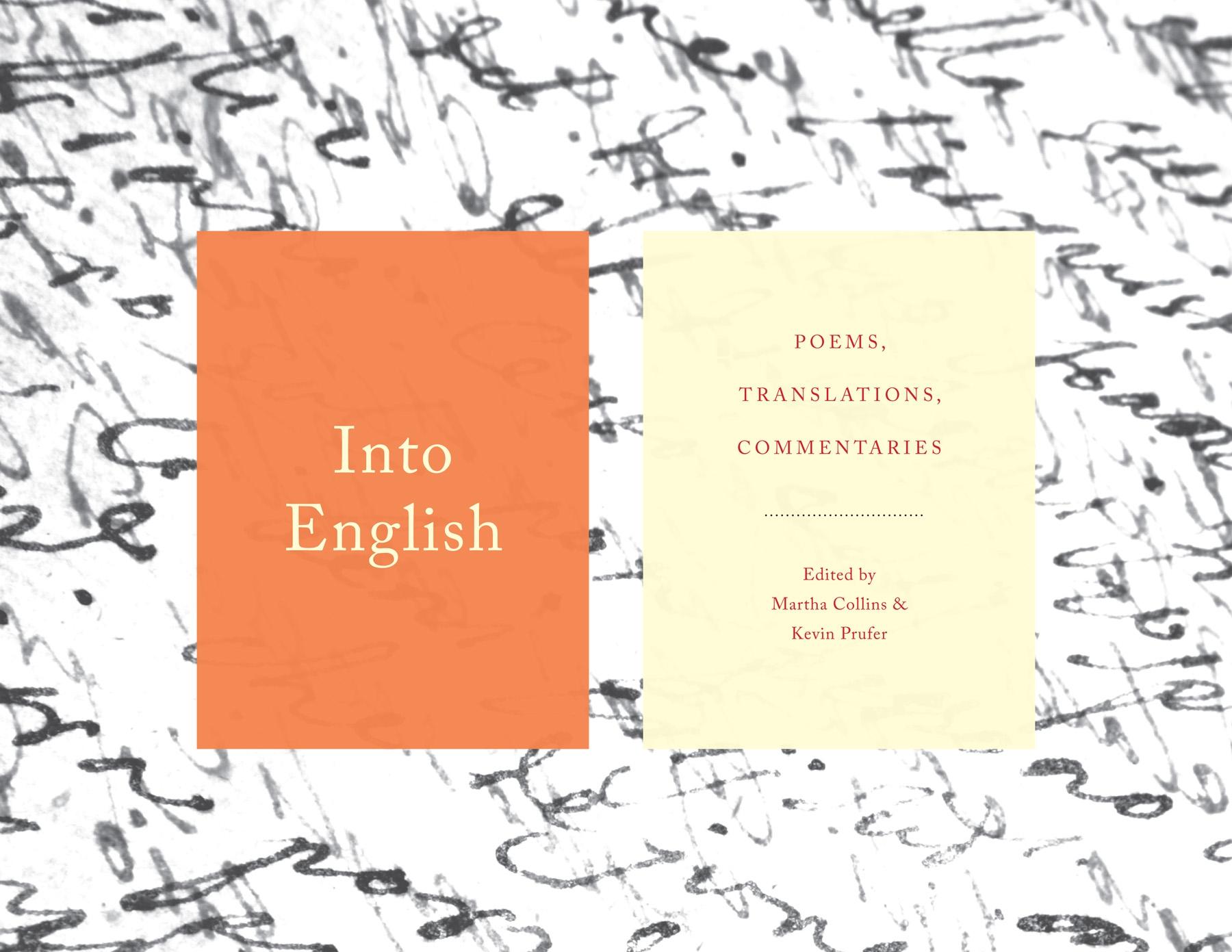 Vorderes Coverbild Into English