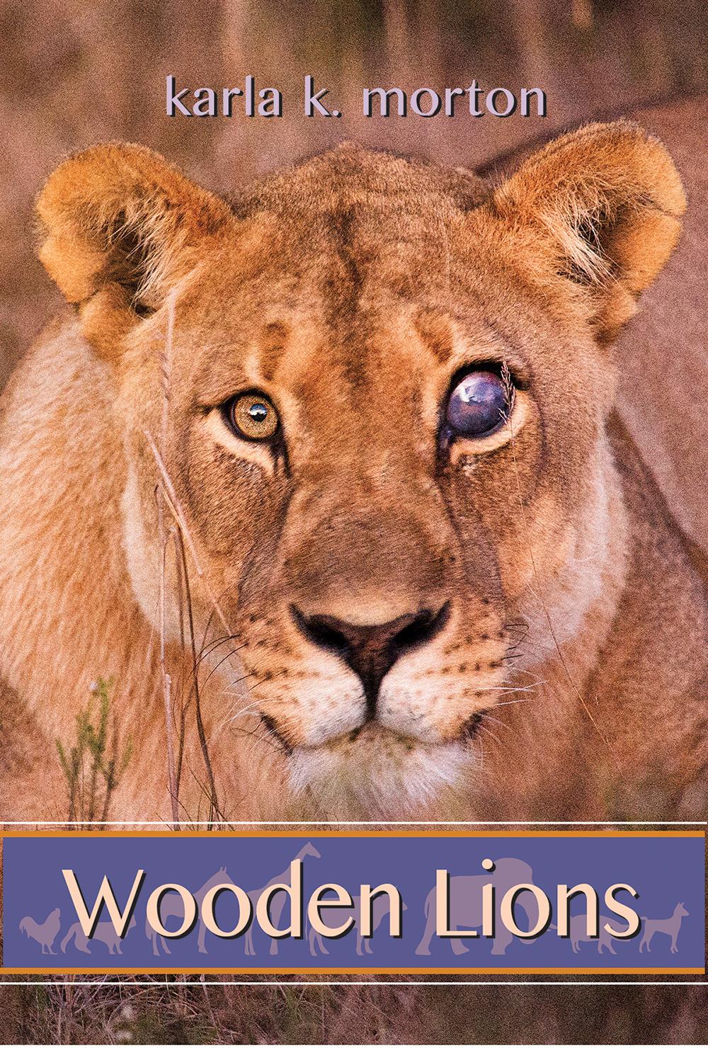 Vorderes Coverbild Wooden Lions