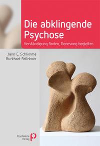 Vorderes Coverbild Die abklingende Psychose