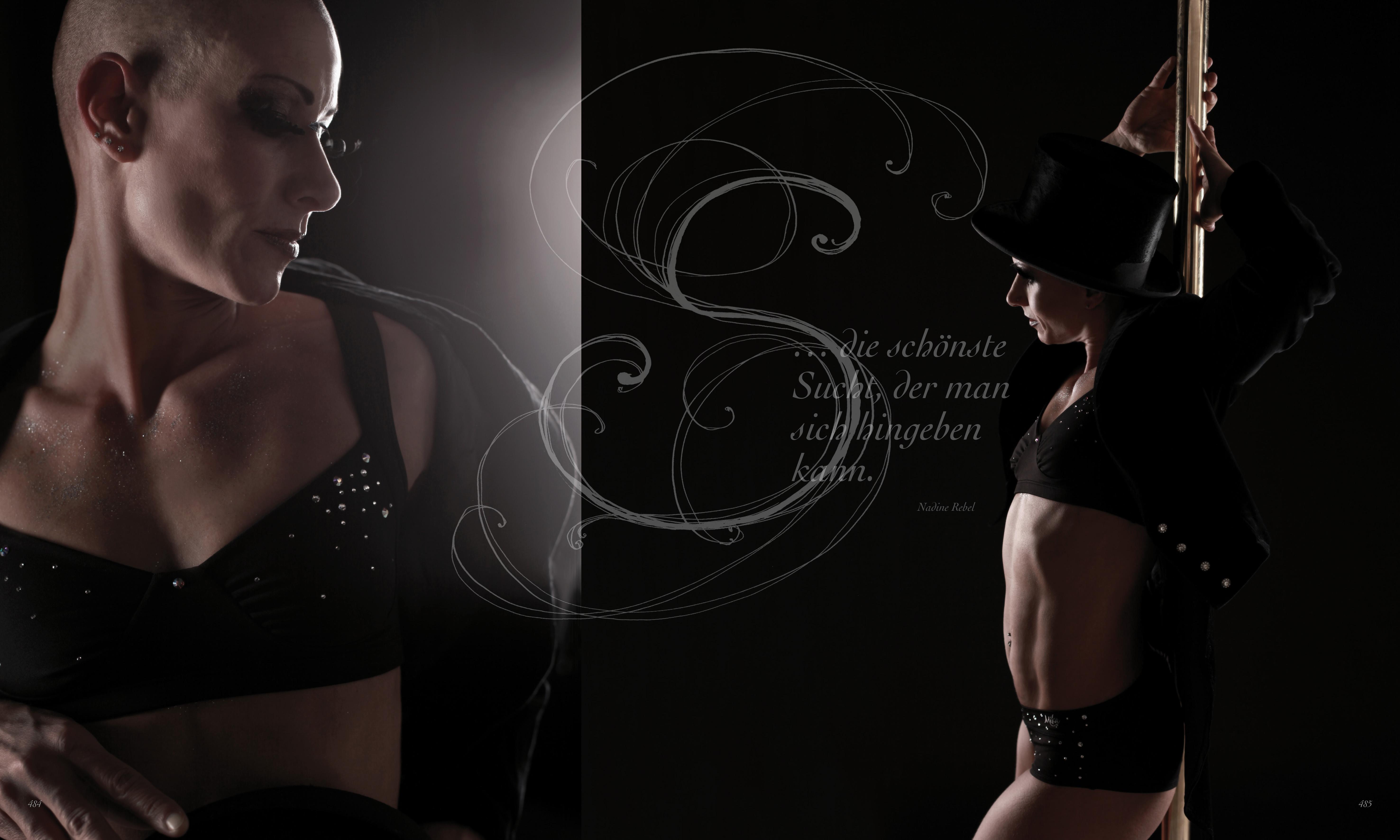 Beispielinhalt (Bild) Poledance Passion - Technik, Training, Leidenschaft