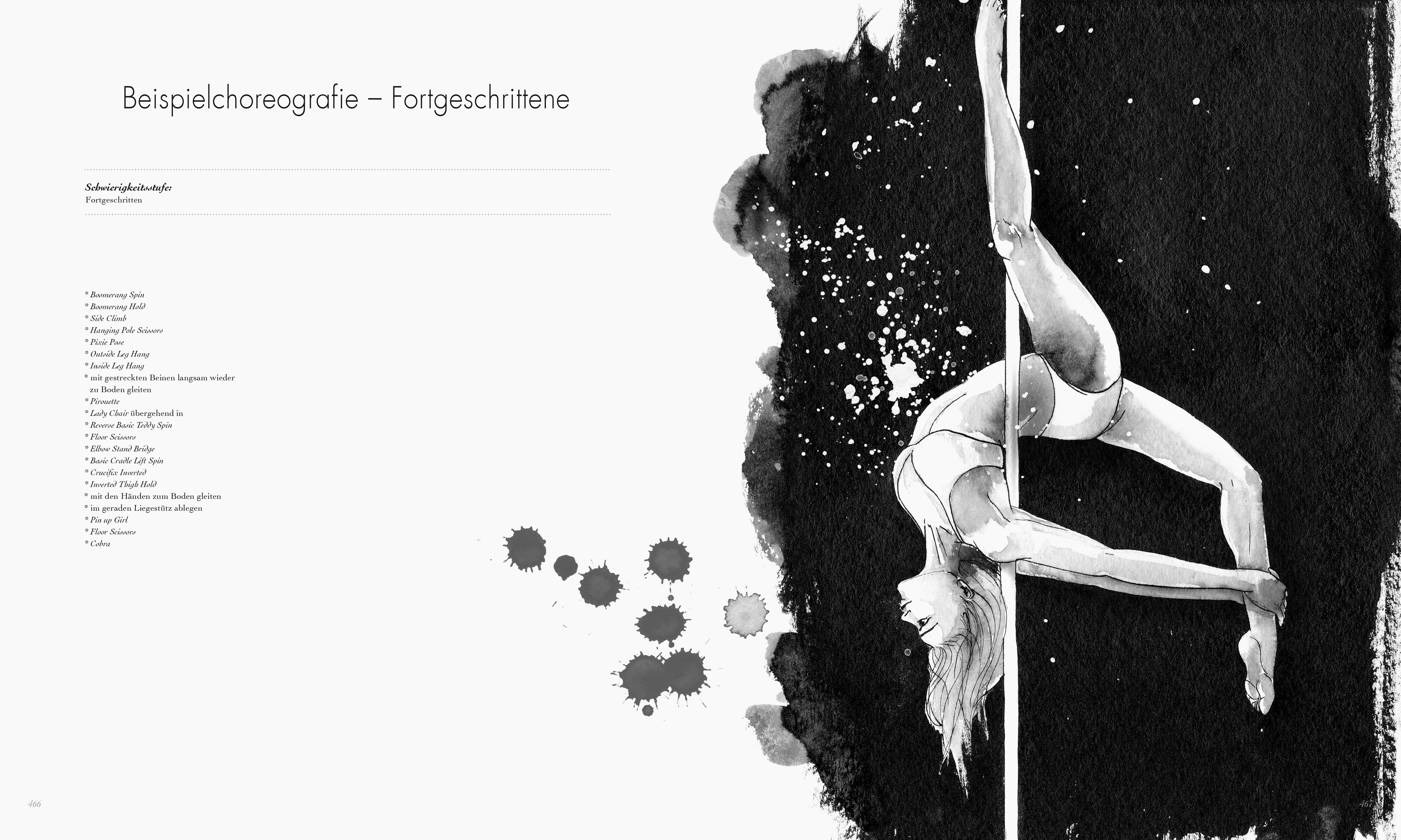 Beispielinhalt (Bild) Poledance Passion - Technik, Training, Leidenschaft