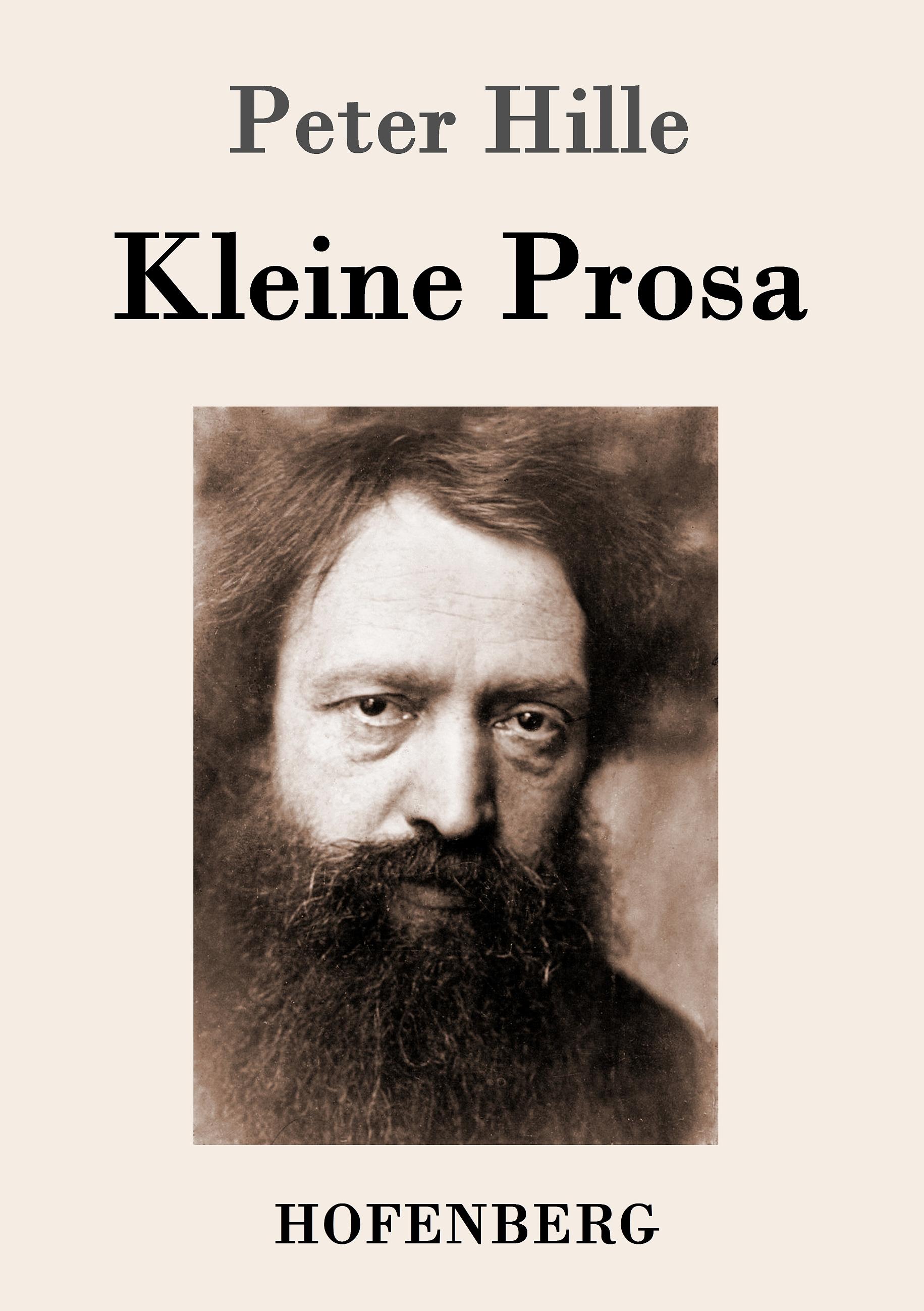 Vorderes Coverbild Kleine Prosa