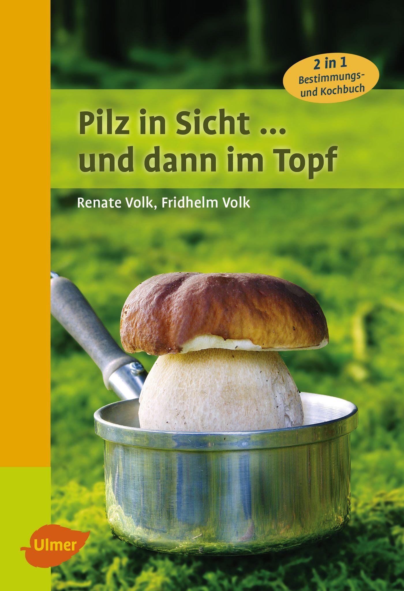 Vorderes Coverbild Pilz in Sicht ... und dann im Topf
