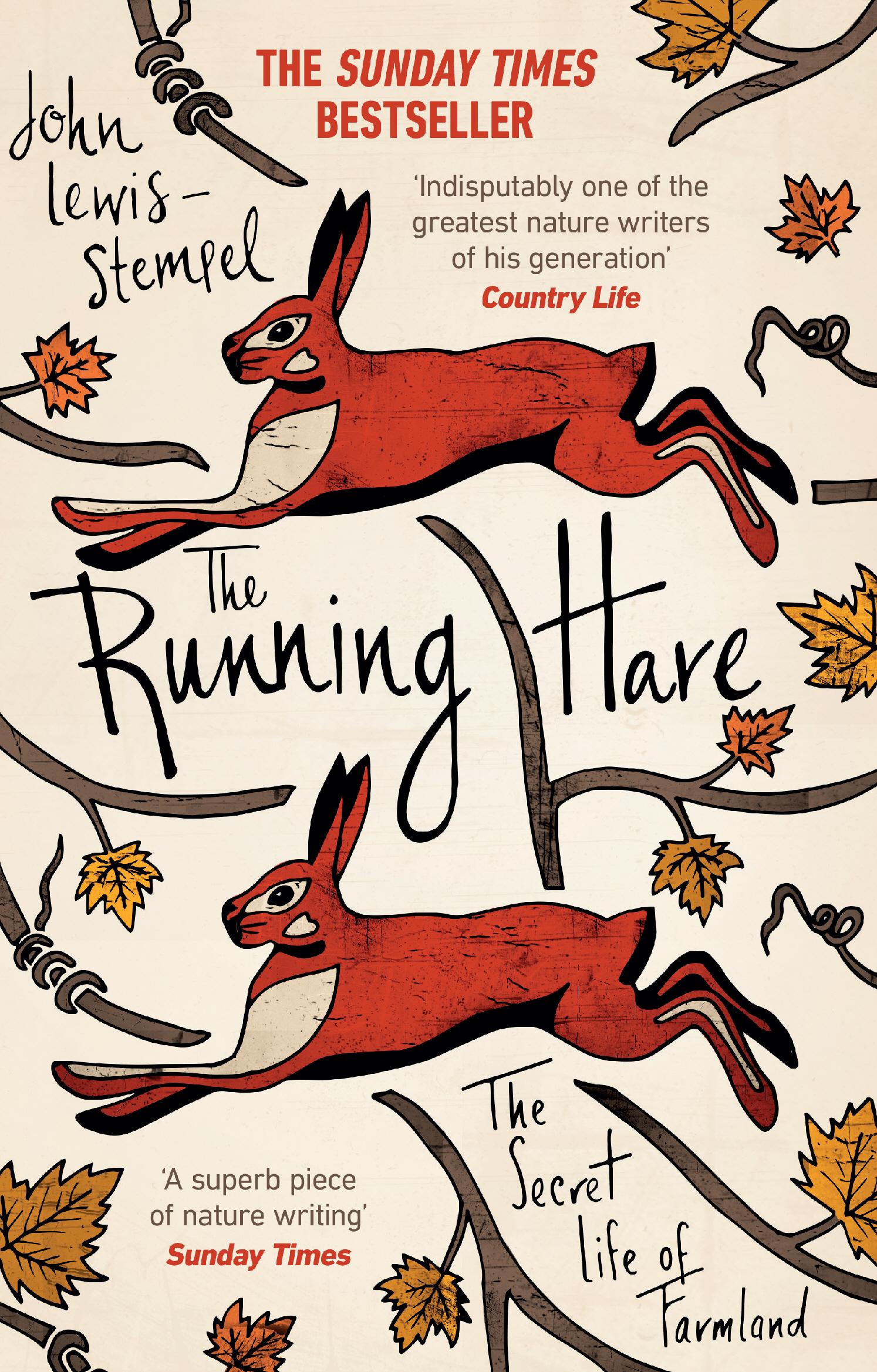 Vorderes Coverbild The Running Hare