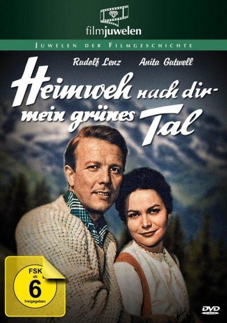 Vorderes Coverbild Heimweh nach dir, mein grünes Tal