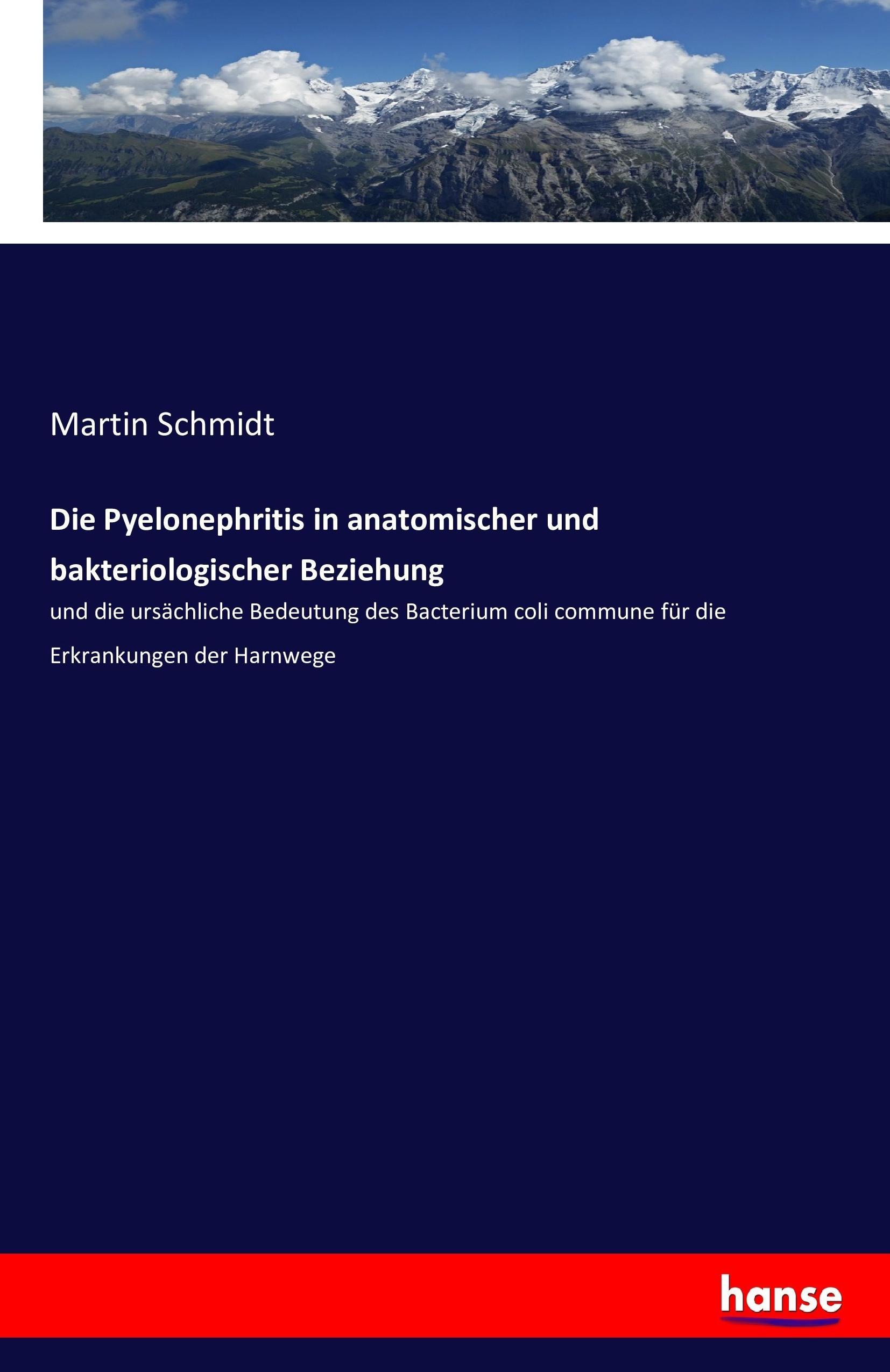 Vorderes Coverbild Die Pyelonephritis in anatomischer und bakteriologischer Beziehung