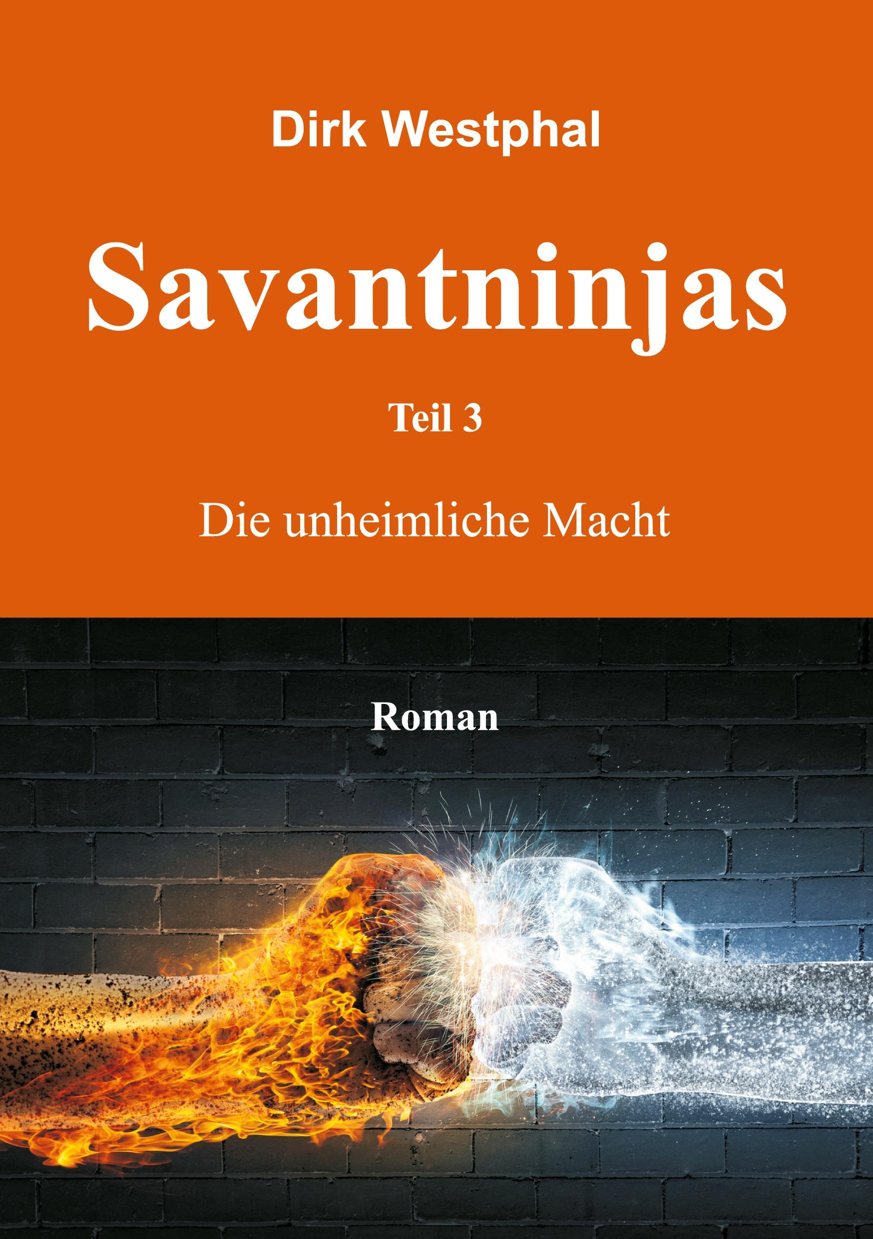 Vorderes Coverbild Savantninjas