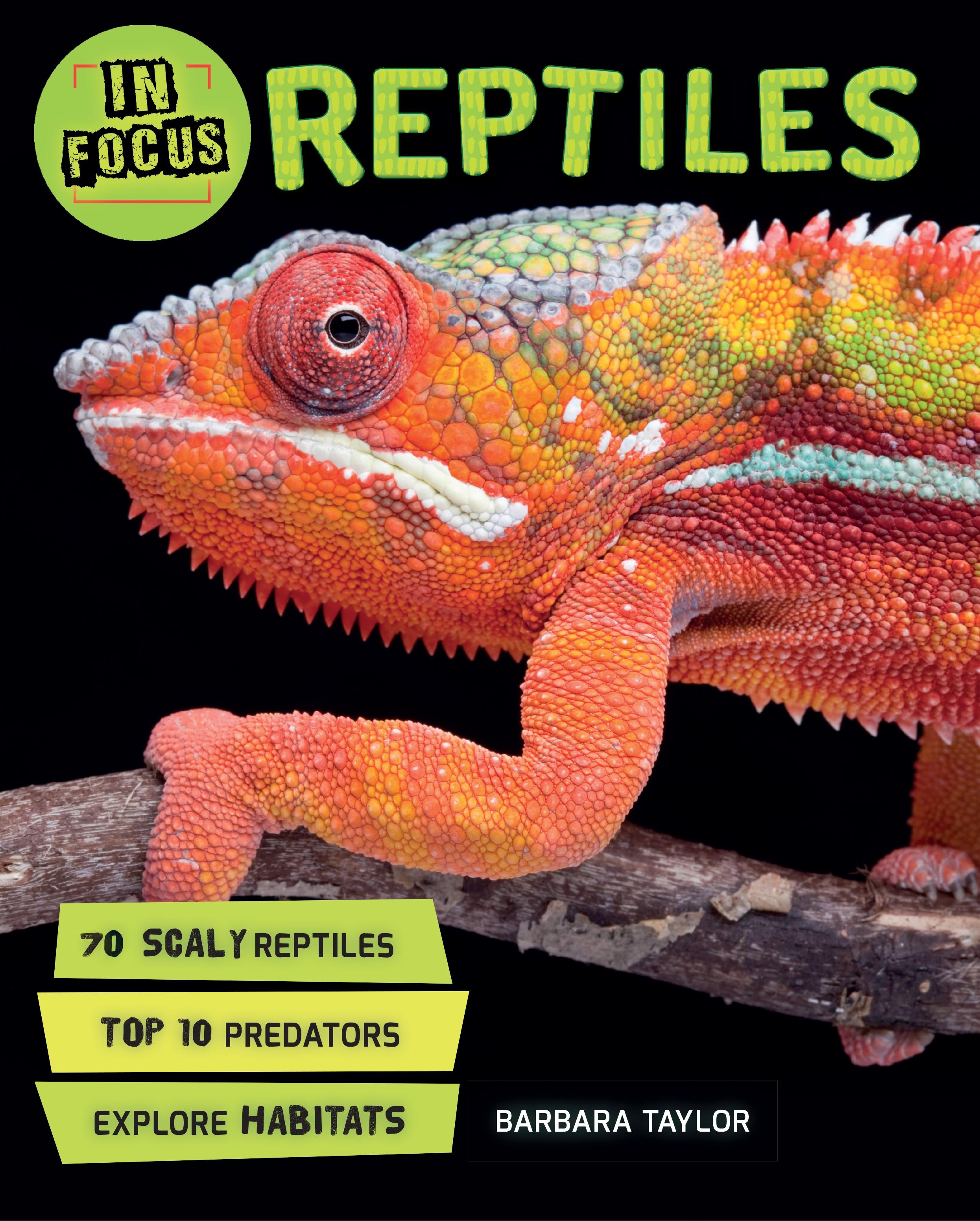 Vorderes Coverbild In Focus: Reptiles