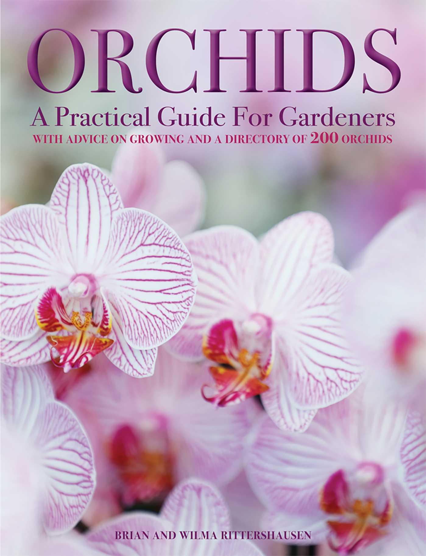 Vorderes Coverbild Orchids