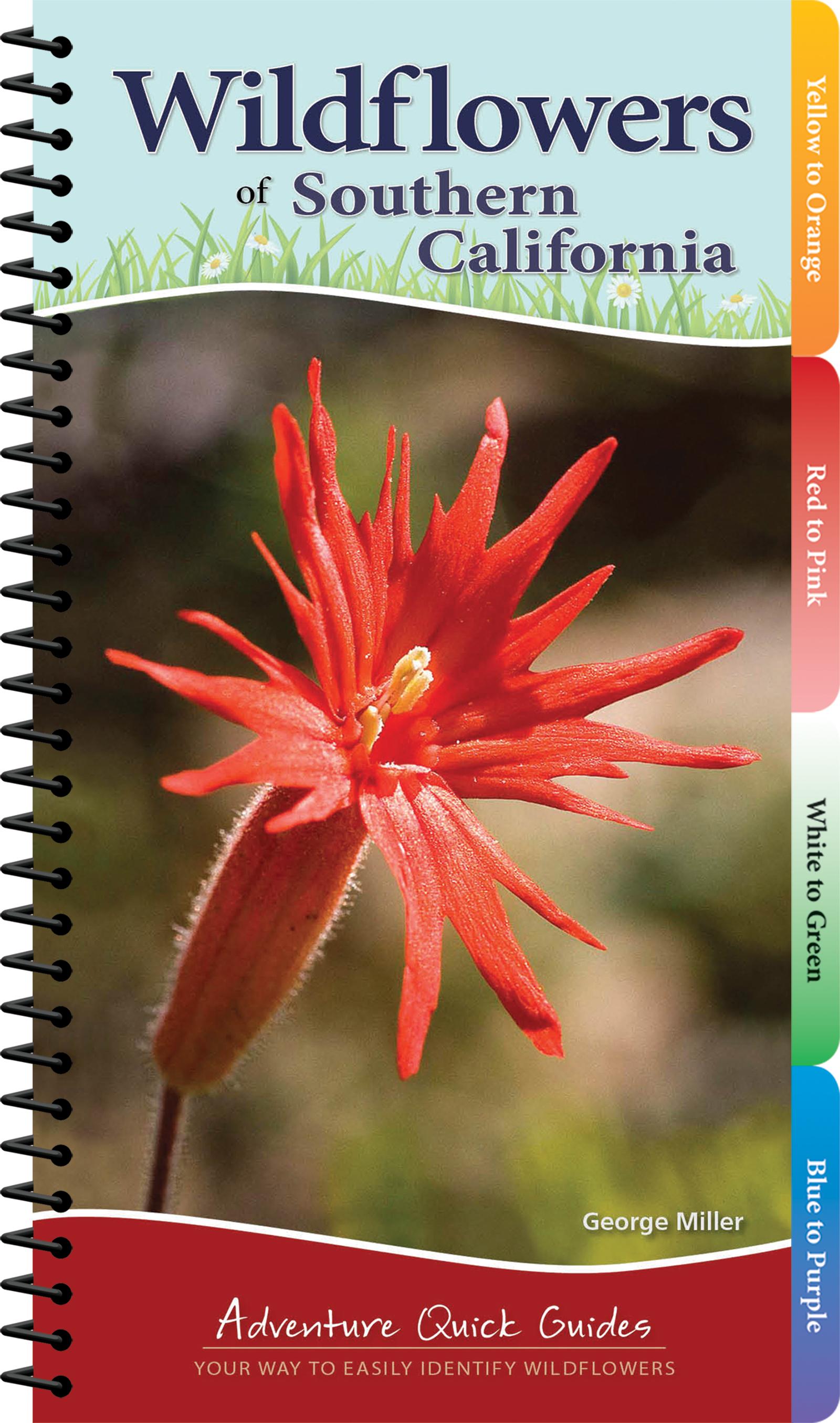 Vorderes Coverbild Wildflowers of Southern California