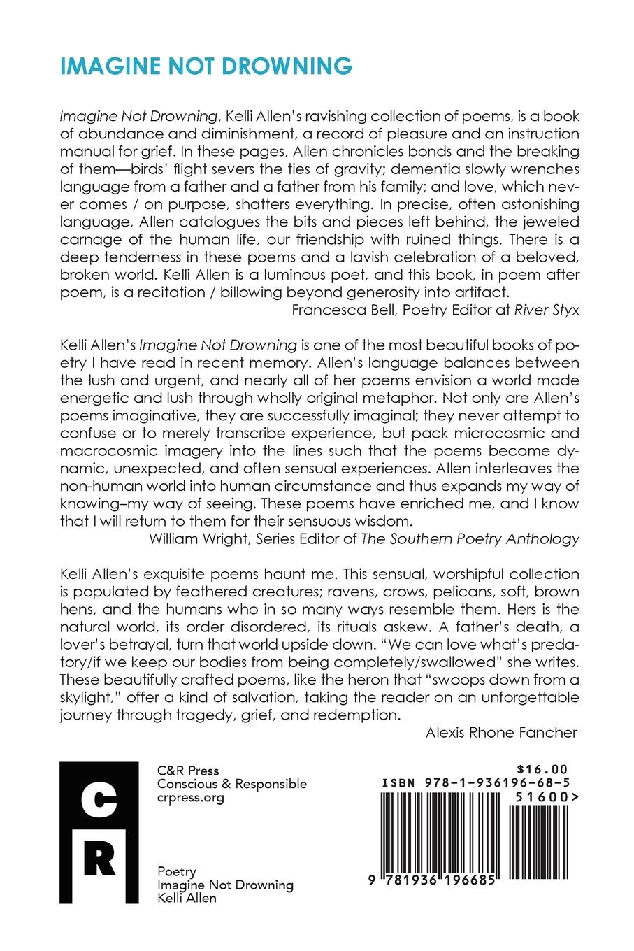 Rückseitencover Imagine Not Drowning