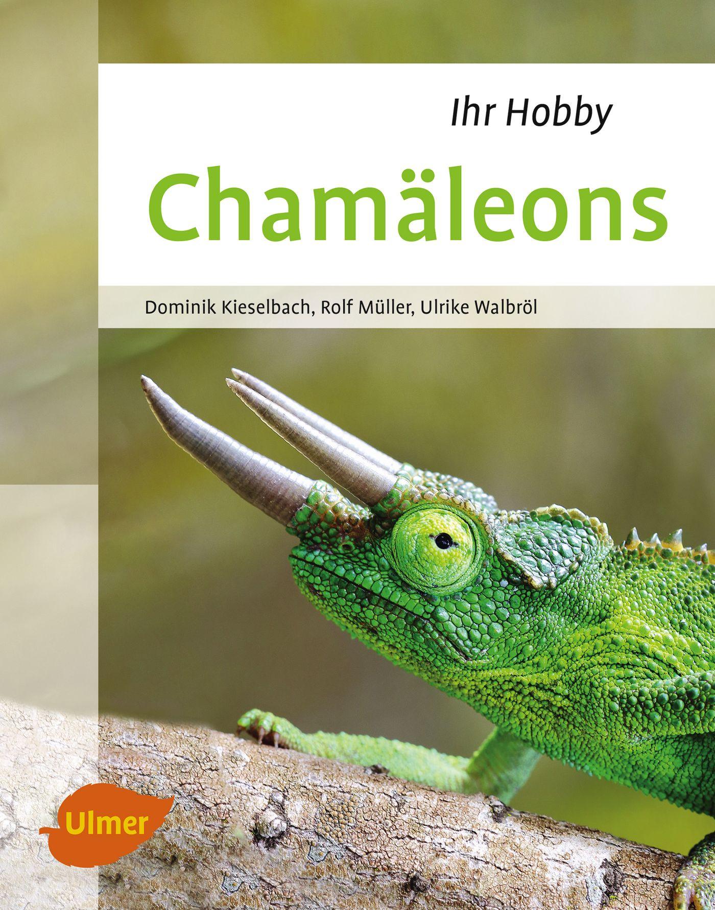 Vorderes Coverbild Chamäleons