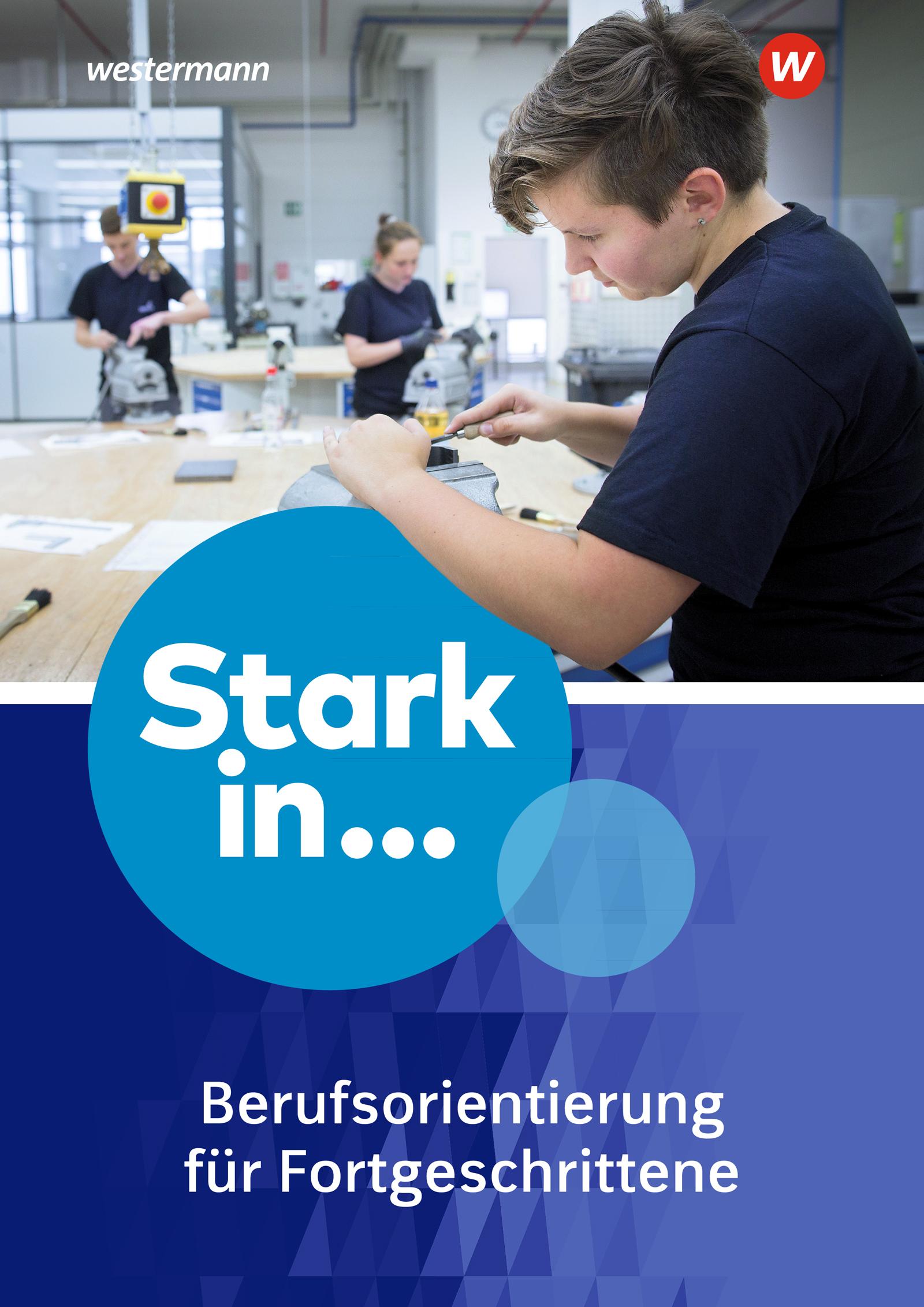 Vorderes Coverbild Stark in ... Themenhefte. Arbeitsheft Berufsorientierung 2: für Fortgeschrittene