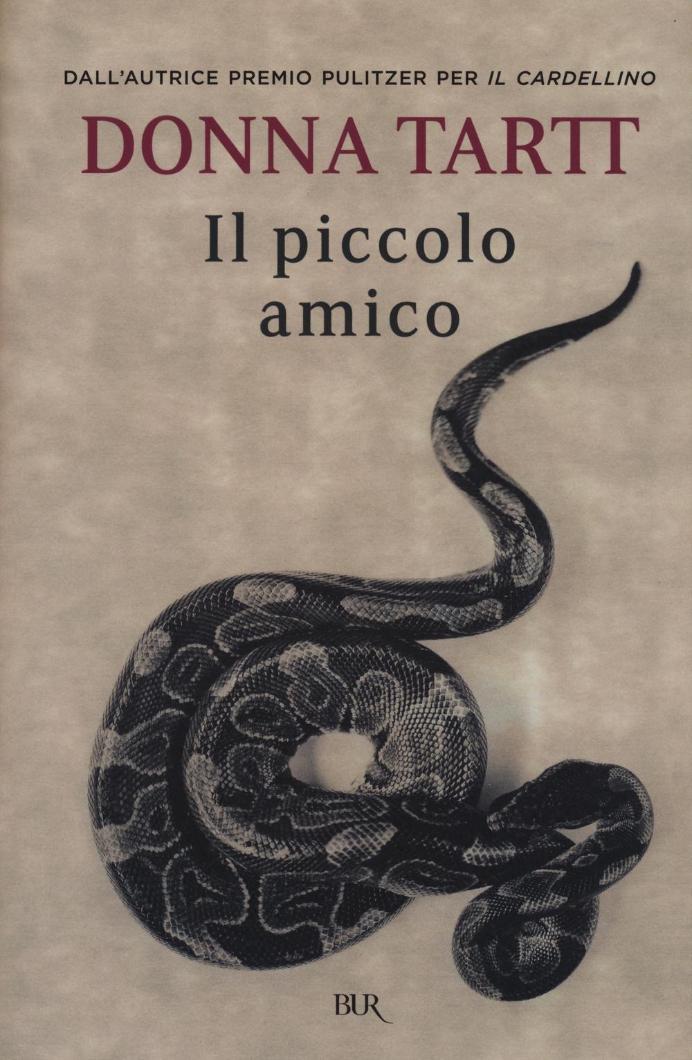 Vorderes Coverbild Il piccolo amico