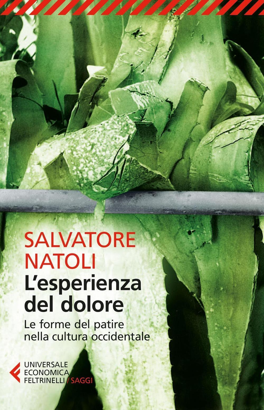 Vorderes Coverbild L' esperienza del dolore. Le forme del patire nella cultura occidentale