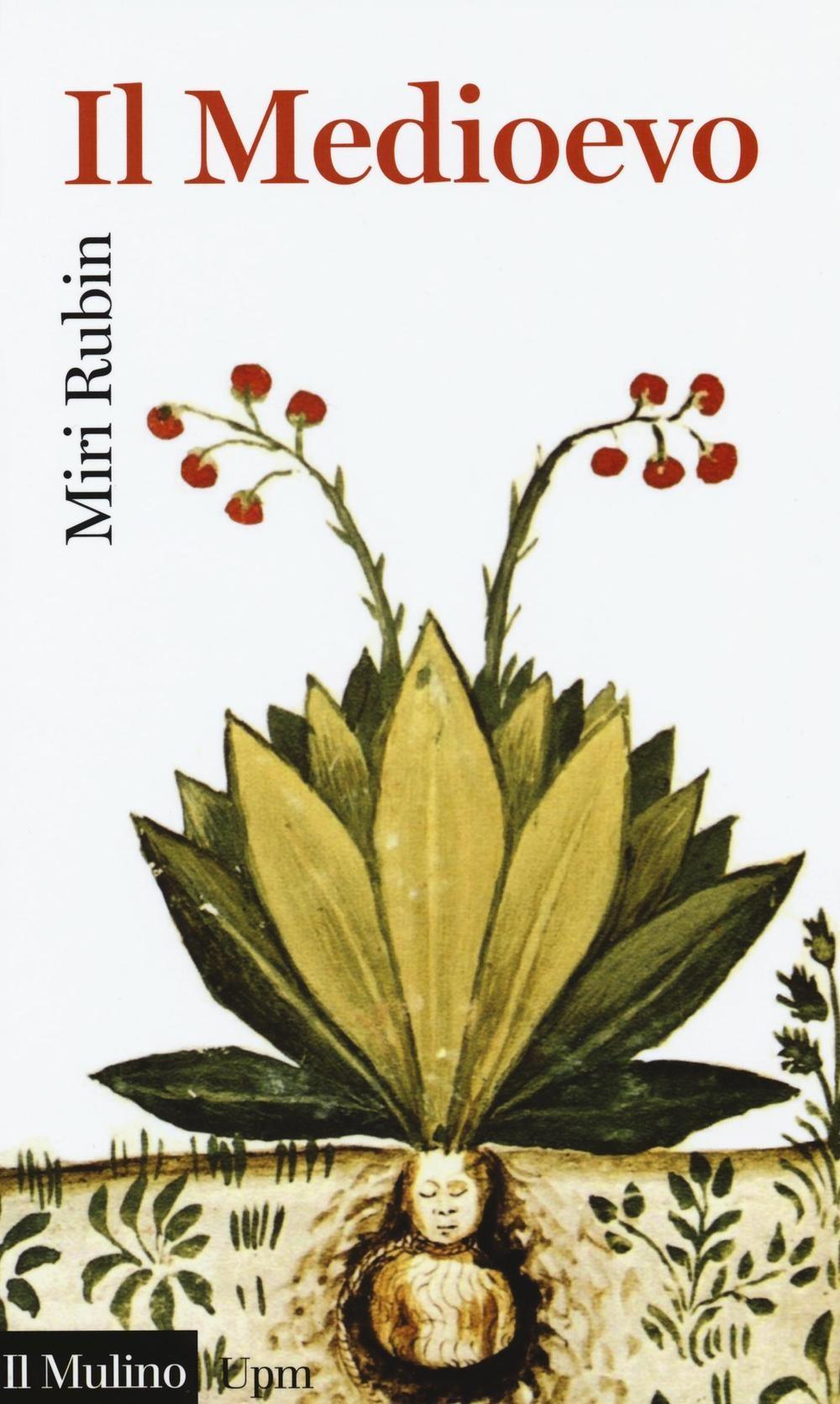 Vorderes Coverbild Il Medioevo