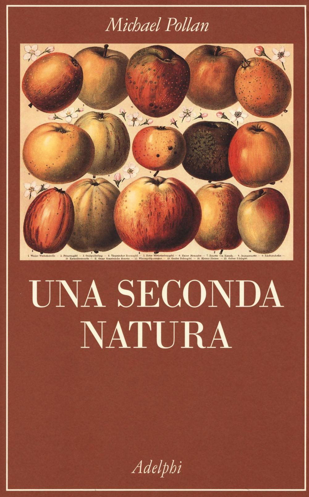 Vorderes Coverbild Una seconda natura