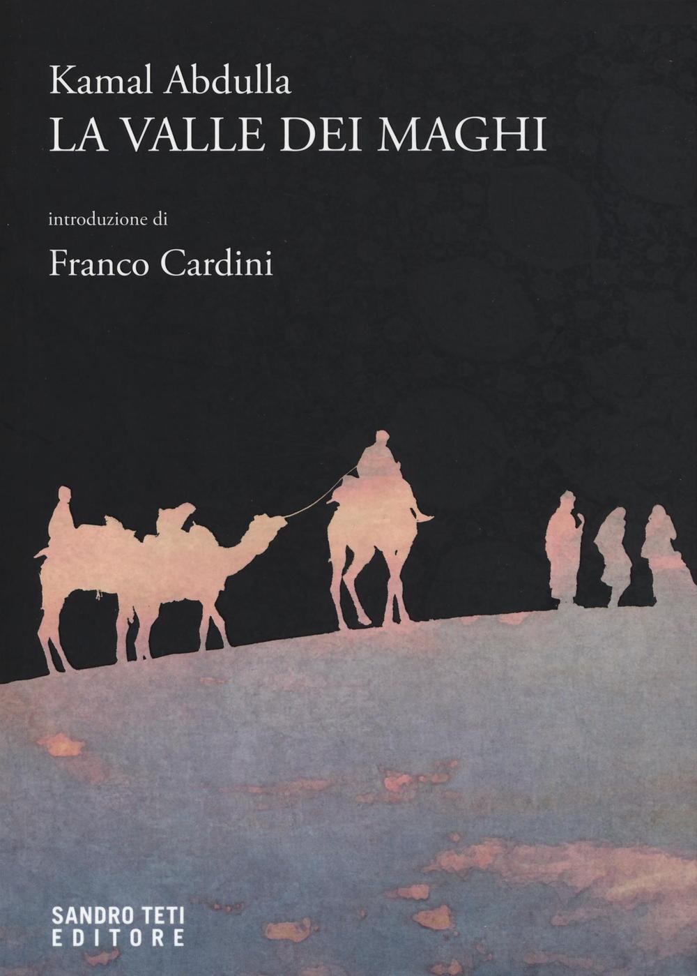 Vorderes Coverbild La valle dei maghi