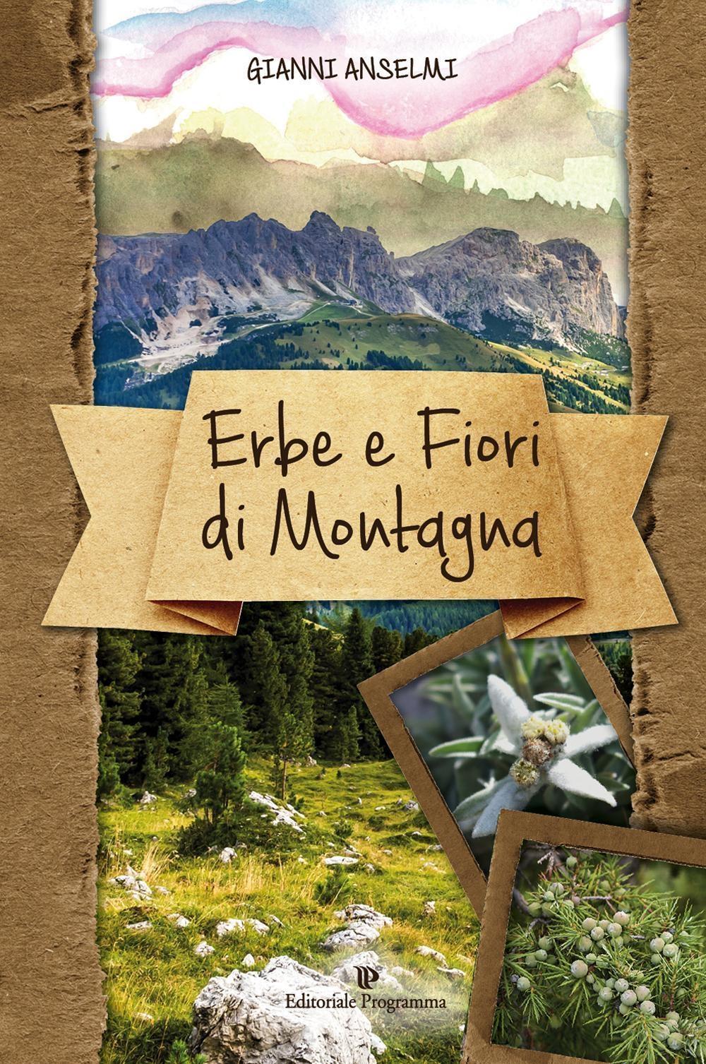 Vorderes Coverbild Erbe e fiori di montagna