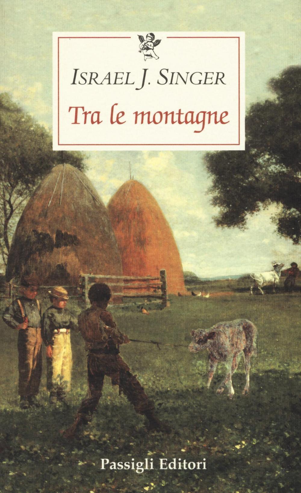 Vorderes Coverbild Tra le montagne