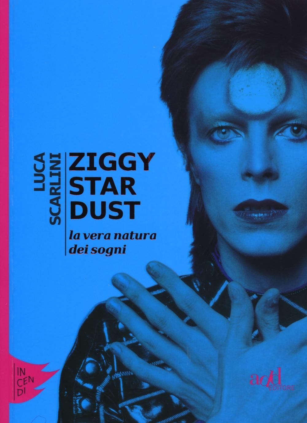 Vorderes Coverbild Ziggy Stardust. La vera natura dei sogni