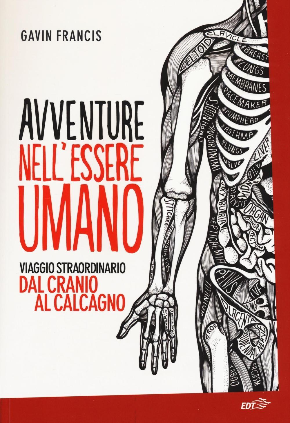 Vorderes Coverbild Avventure nell'essere umano. Viaggio straordinario dal cranio al calcagno