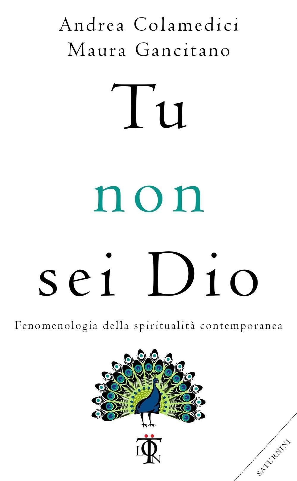 Vorderes Coverbild Tu non sei Dio. Fenomenologia della spiritualità contemporanea
