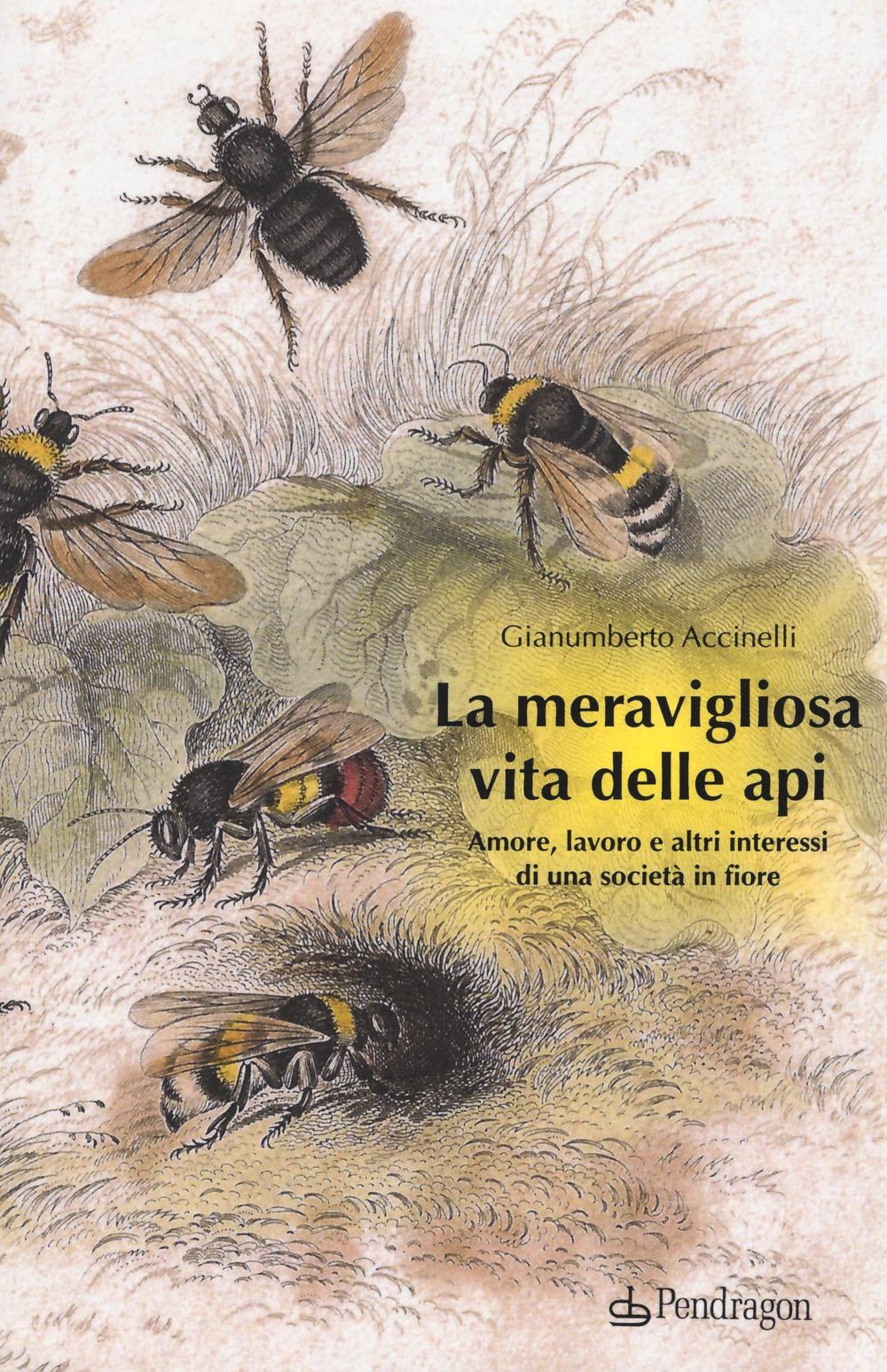 Vorderes Coverbild La meravigliosa vita delle api. Amore, lavoro e altri interessi di una società in fiore