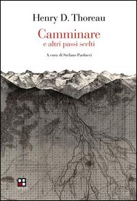 Vorderes Coverbild Camminare e altri passi scelti