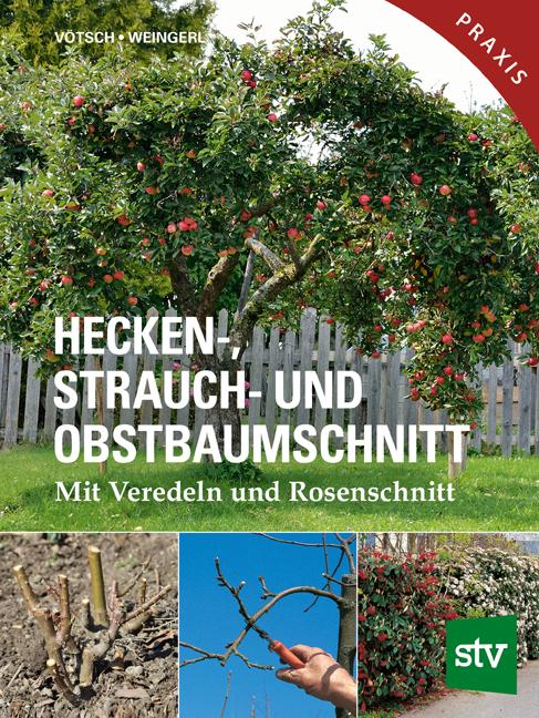 Vorderes Coverbild Hecken-, Strauch- und Obstbaumschnitt