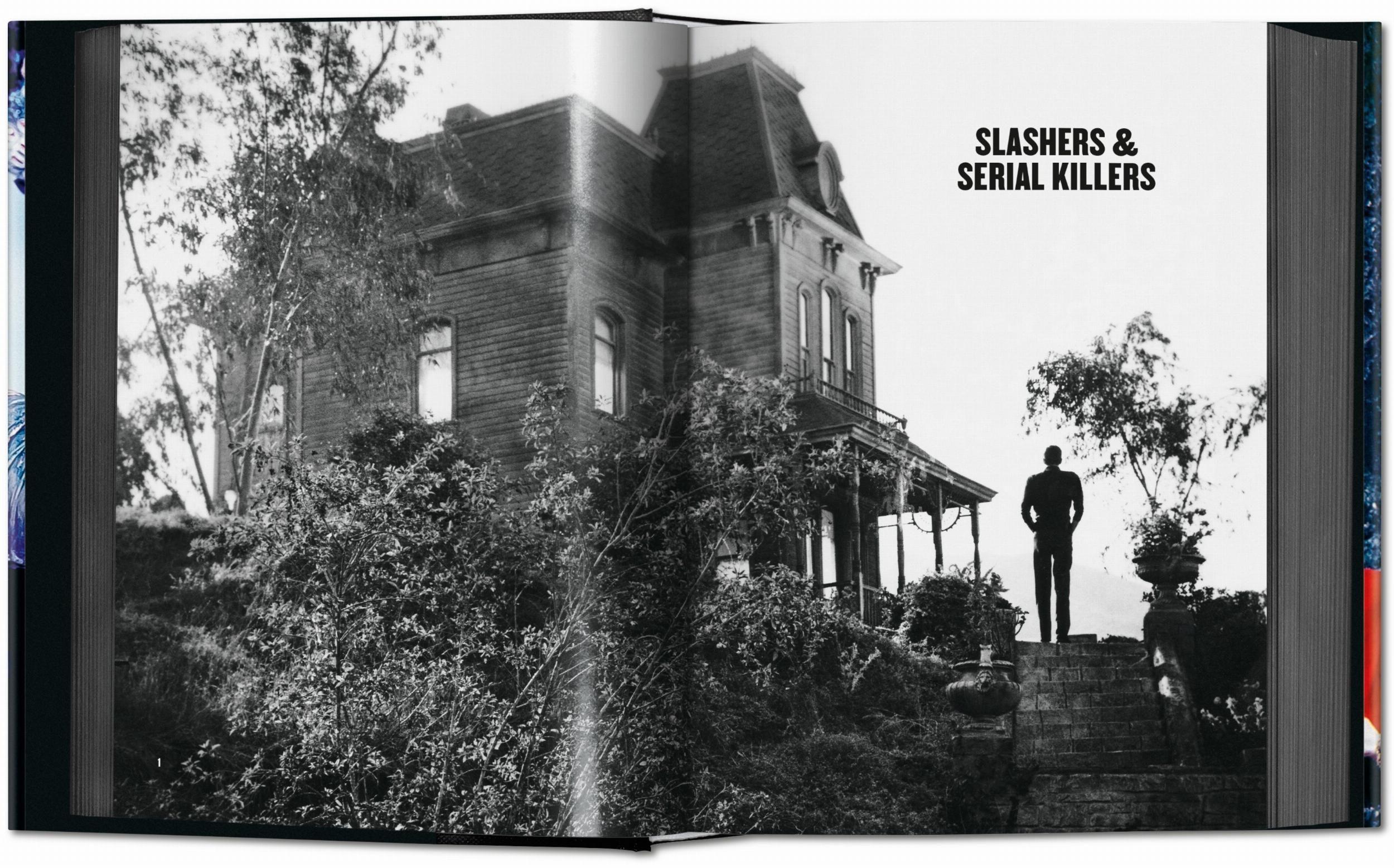 Beispielinhalt (Bild) Horror Cinema