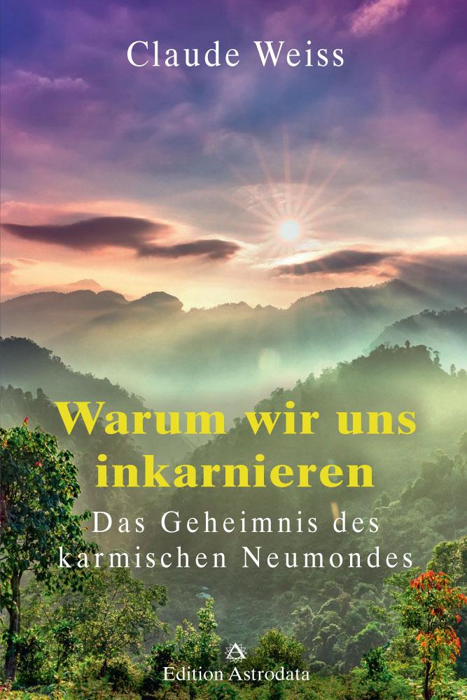 Vorderes Coverbild Warum wir uns inkarnieren