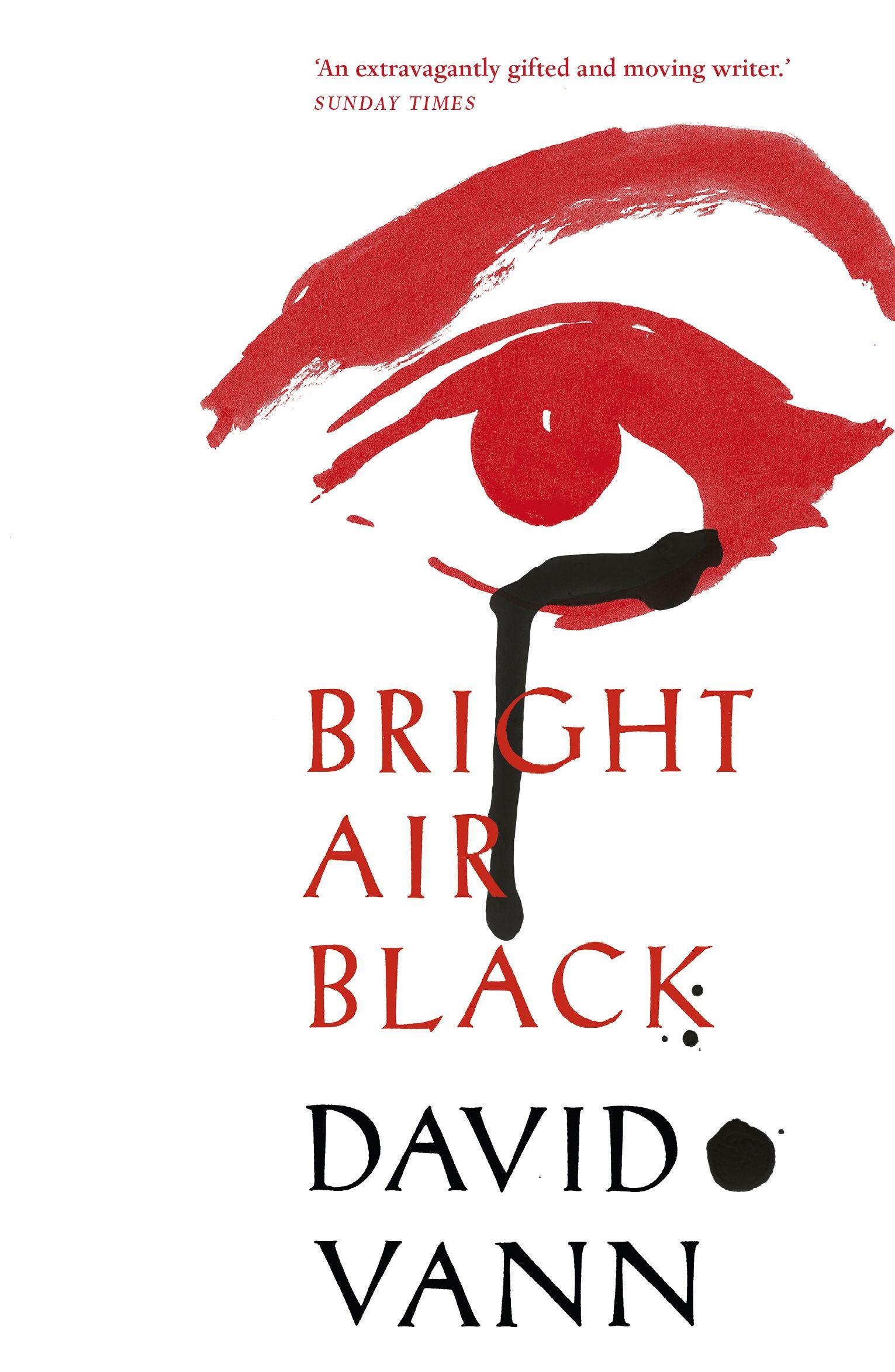 Vorderes Coverbild Bright Air Black