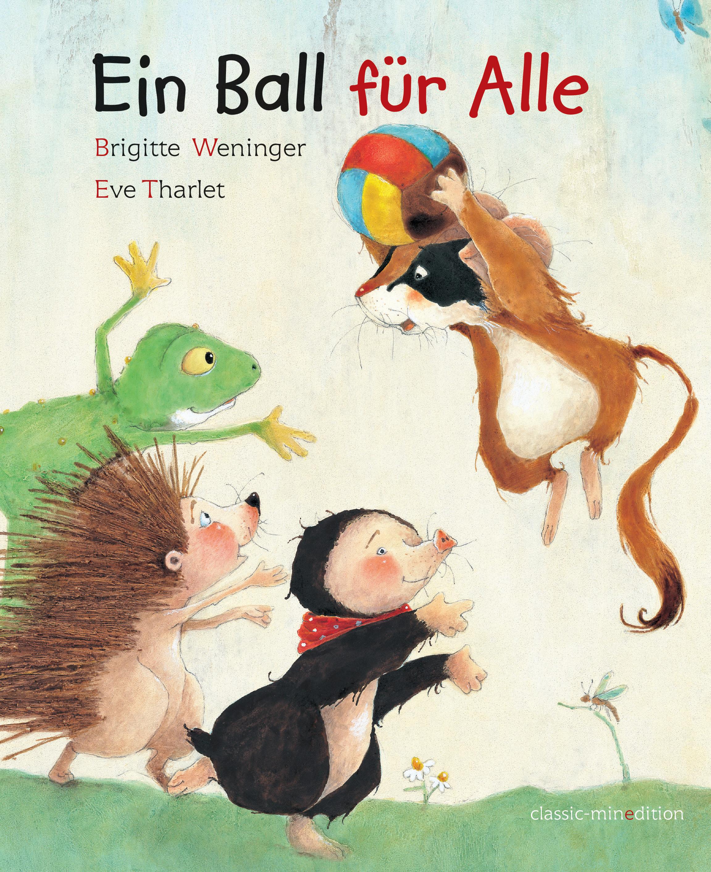 Vorderes Coverbild Ein Ball für alle