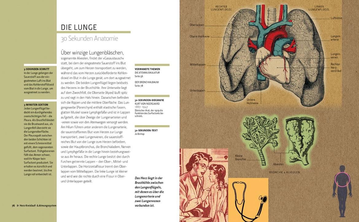 Beispielinhalt (Bild) Anatomie in 30 Sekunden