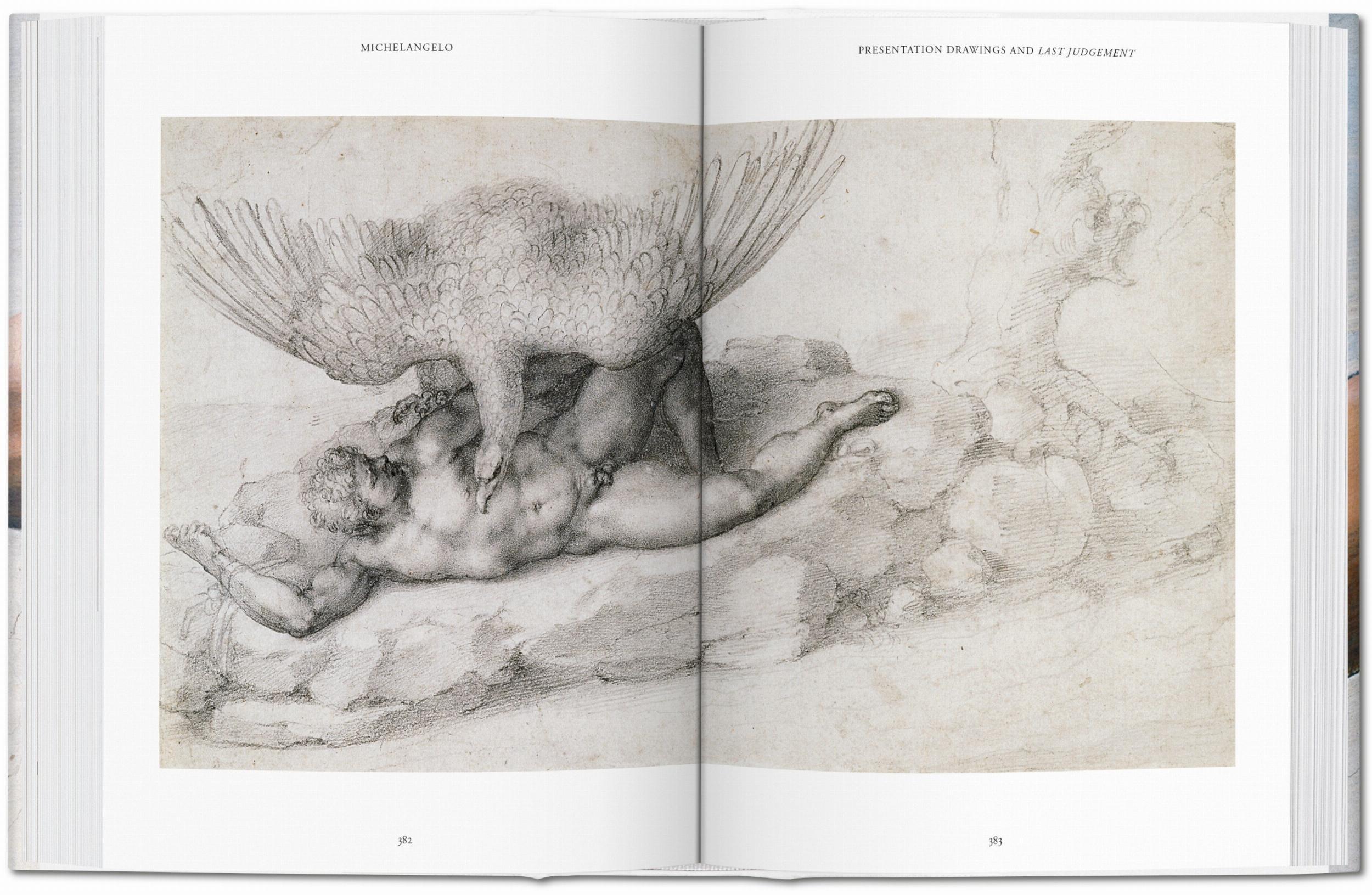 Beispielinhalt (Bild) Michelangelo. Das vollständige Werk. Malerei, Skulptur, Architektur