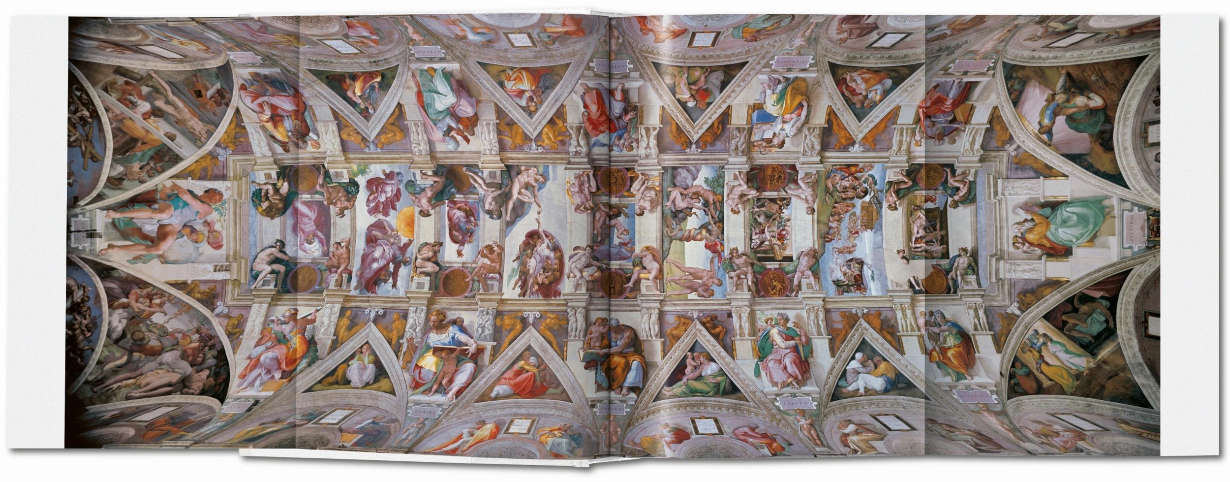 Beispielinhalt (Bild) Michelangelo. Das vollständige Werk. Malerei, Skulptur, Architektur