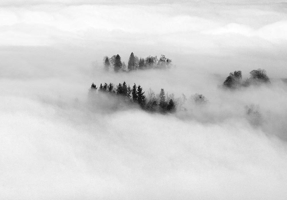 Beispielinhalt (Bild) Schwarz. Wald. Land.