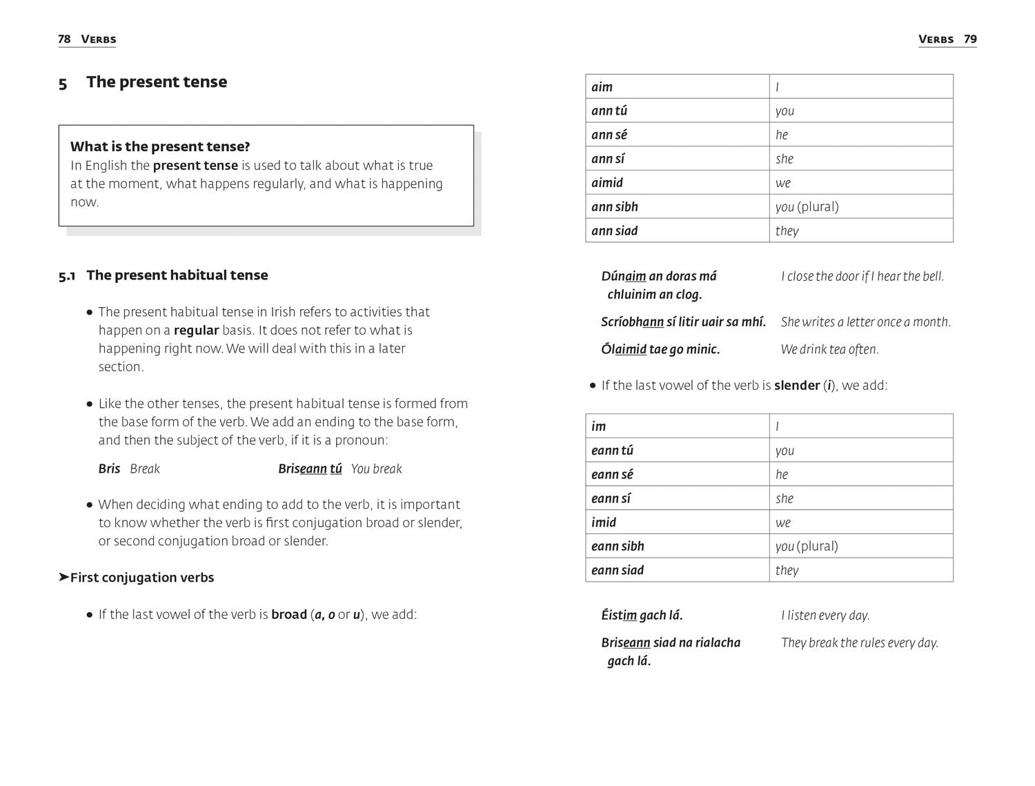 Beispielinhalt (Bild) Easy Learning Irish Grammar