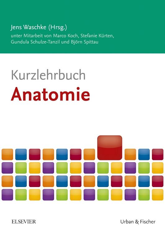 Vorderes Coverbild Kurzlehrbuch Anatomie