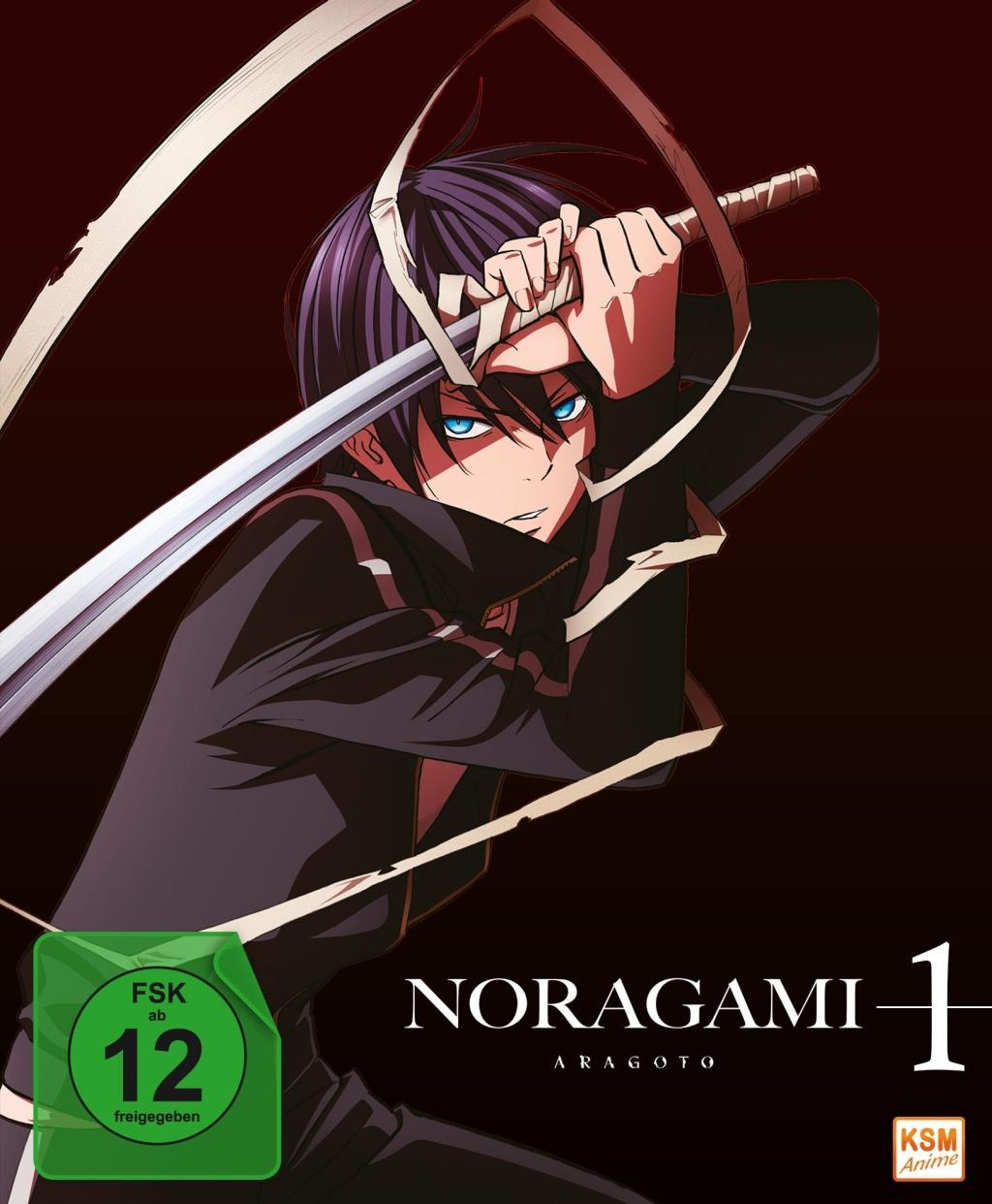 Vorderes Coverbild Noragami Aragoto