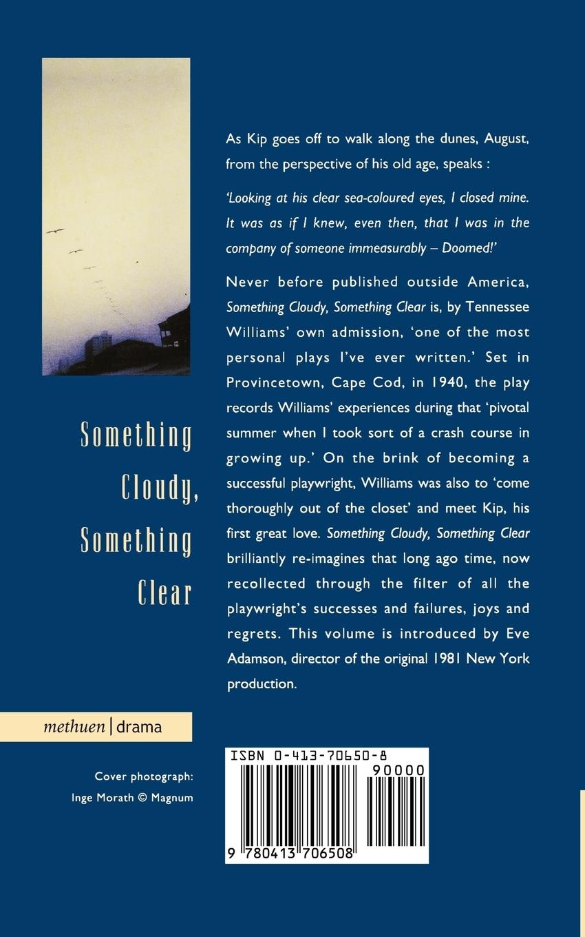 Rückseitencover Something Cloudy, Something Clear