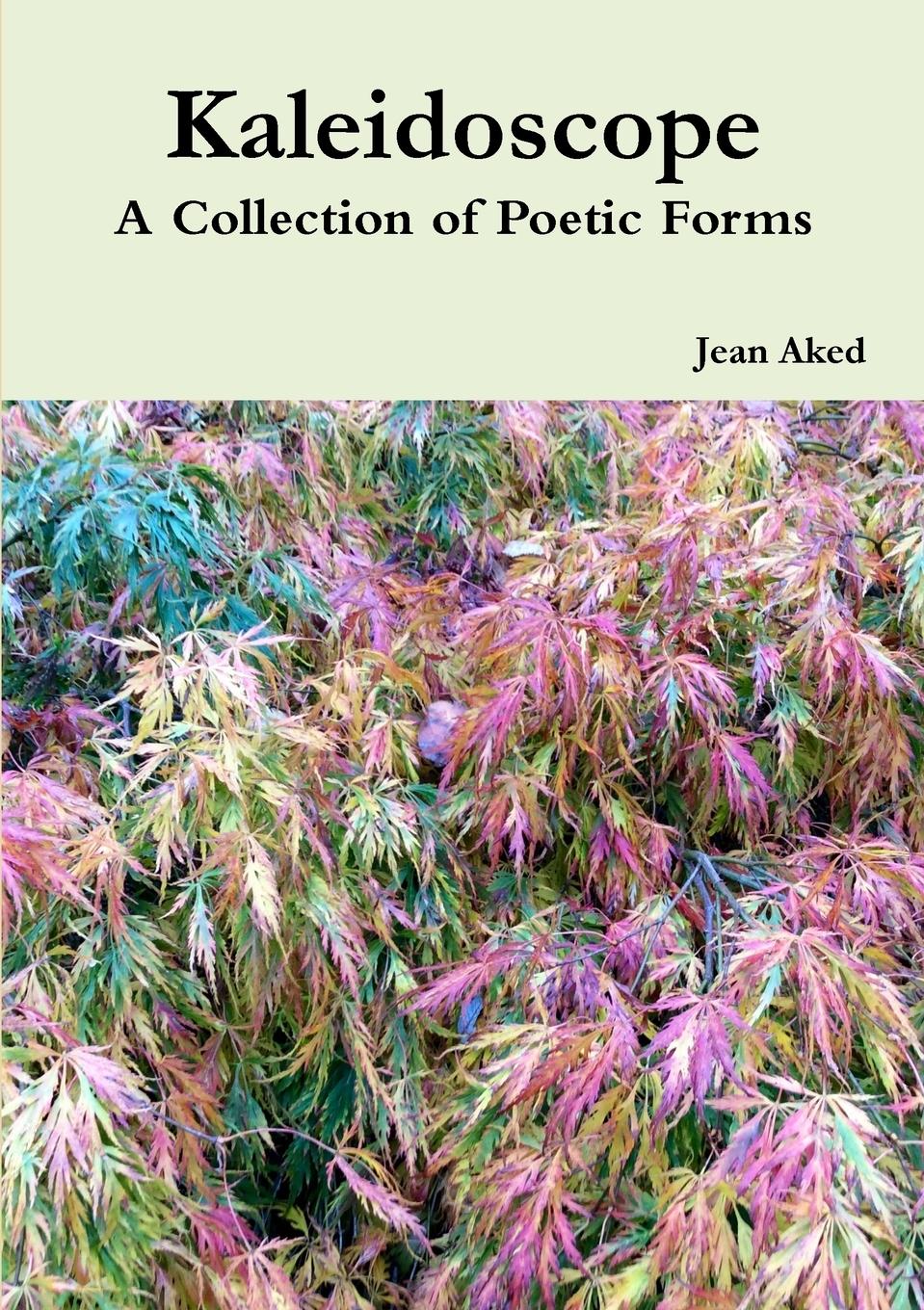 Vorderes Coverbild Kaleidoscope