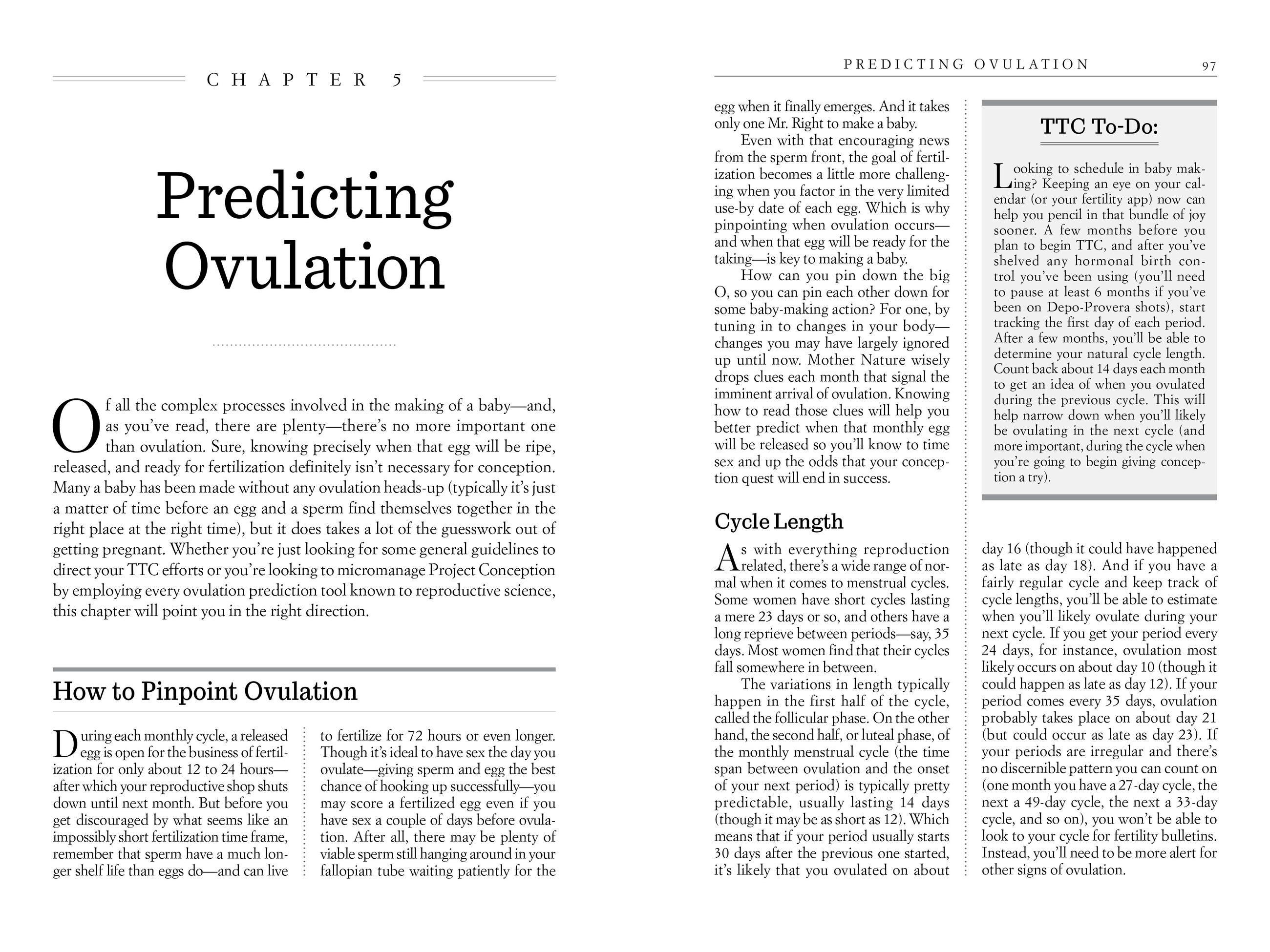 Beispielinhalt (Bild) What to Expect Before You're Expecting