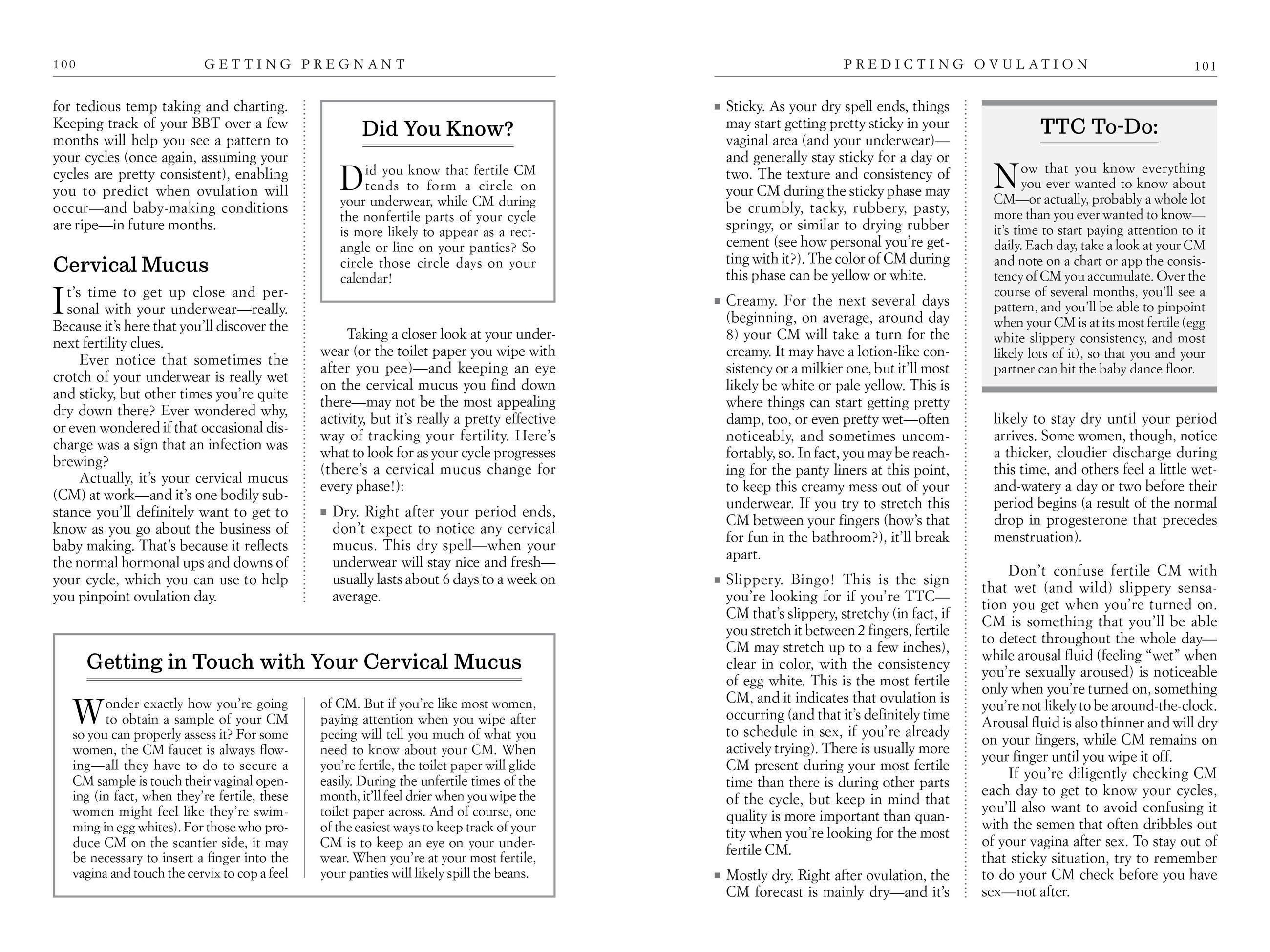 Beispielinhalt (Bild) What to Expect Before You're Expecting